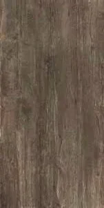 bark.webp