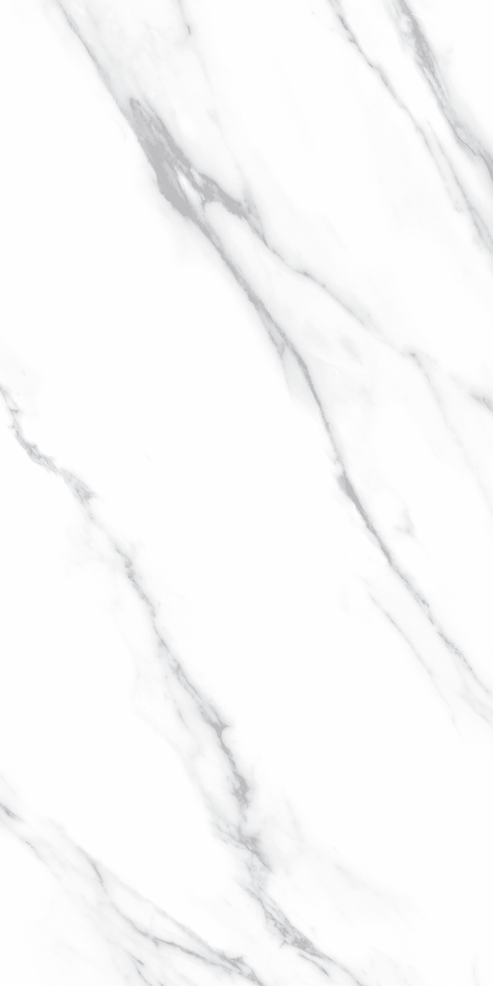DEC.CARRARA+B+NPLUS (1).webp