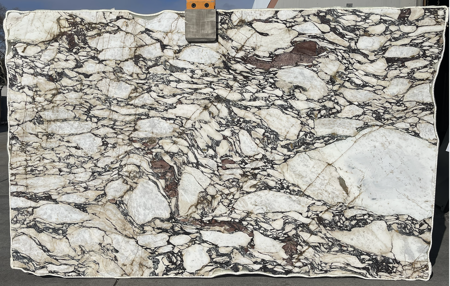 Calacatta Viola P 117x74 - 230541.png