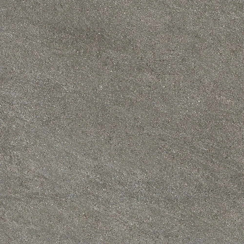 BS02.webp