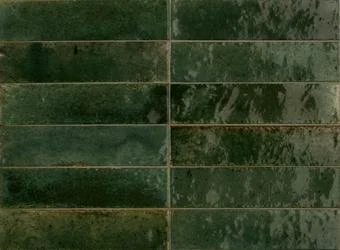 Ragno_Look_R8FS.jpg.0x250_q75_crop.jpg