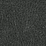 Anthracite 1.jpg