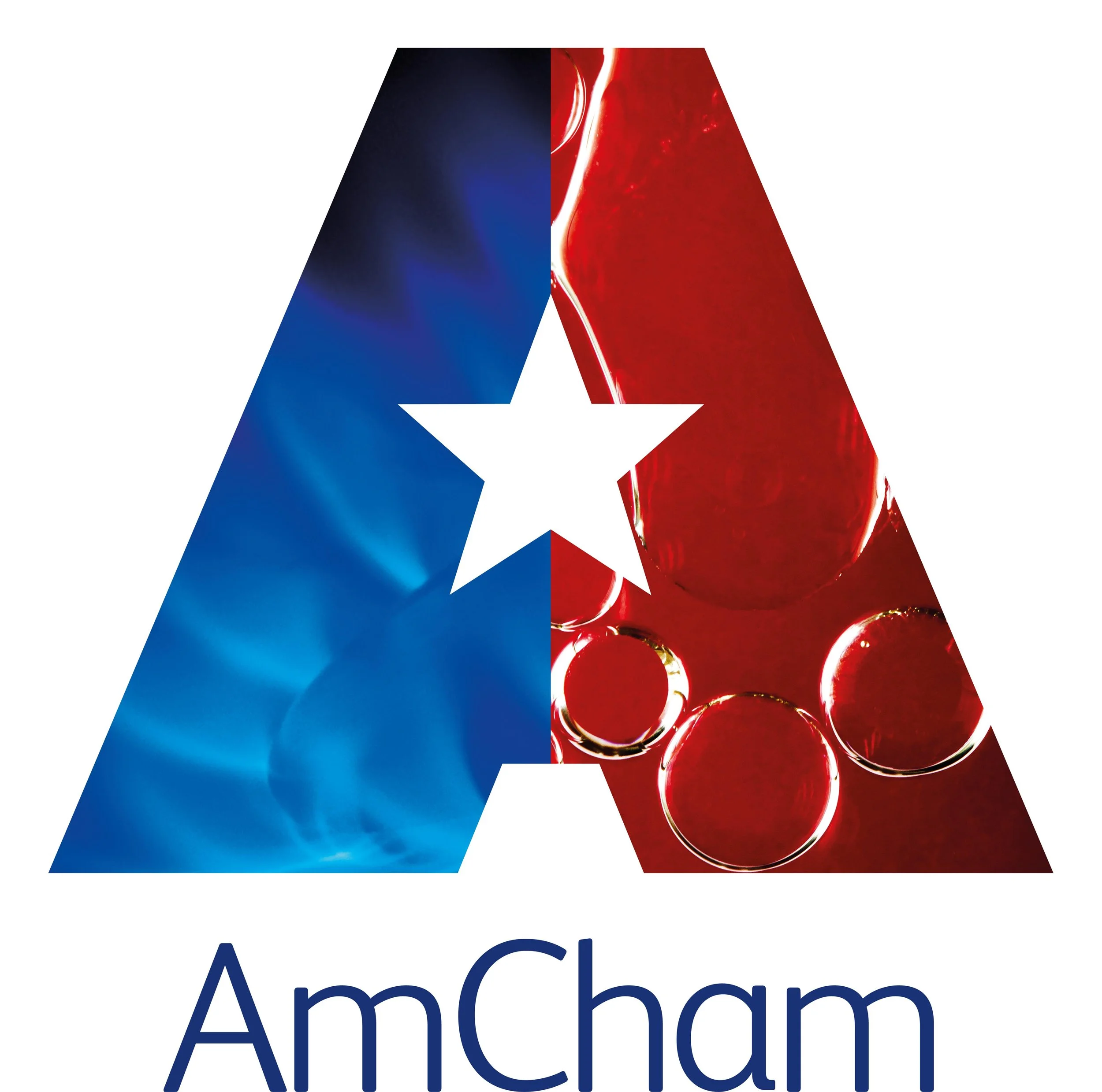 AmCham_Bubble.jpeg