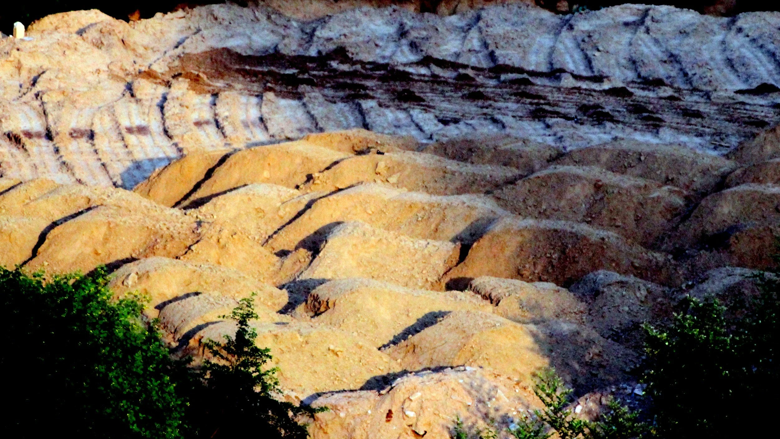 Case Study: Moving soil, not money - how a site assessment unlocked onsite reuse