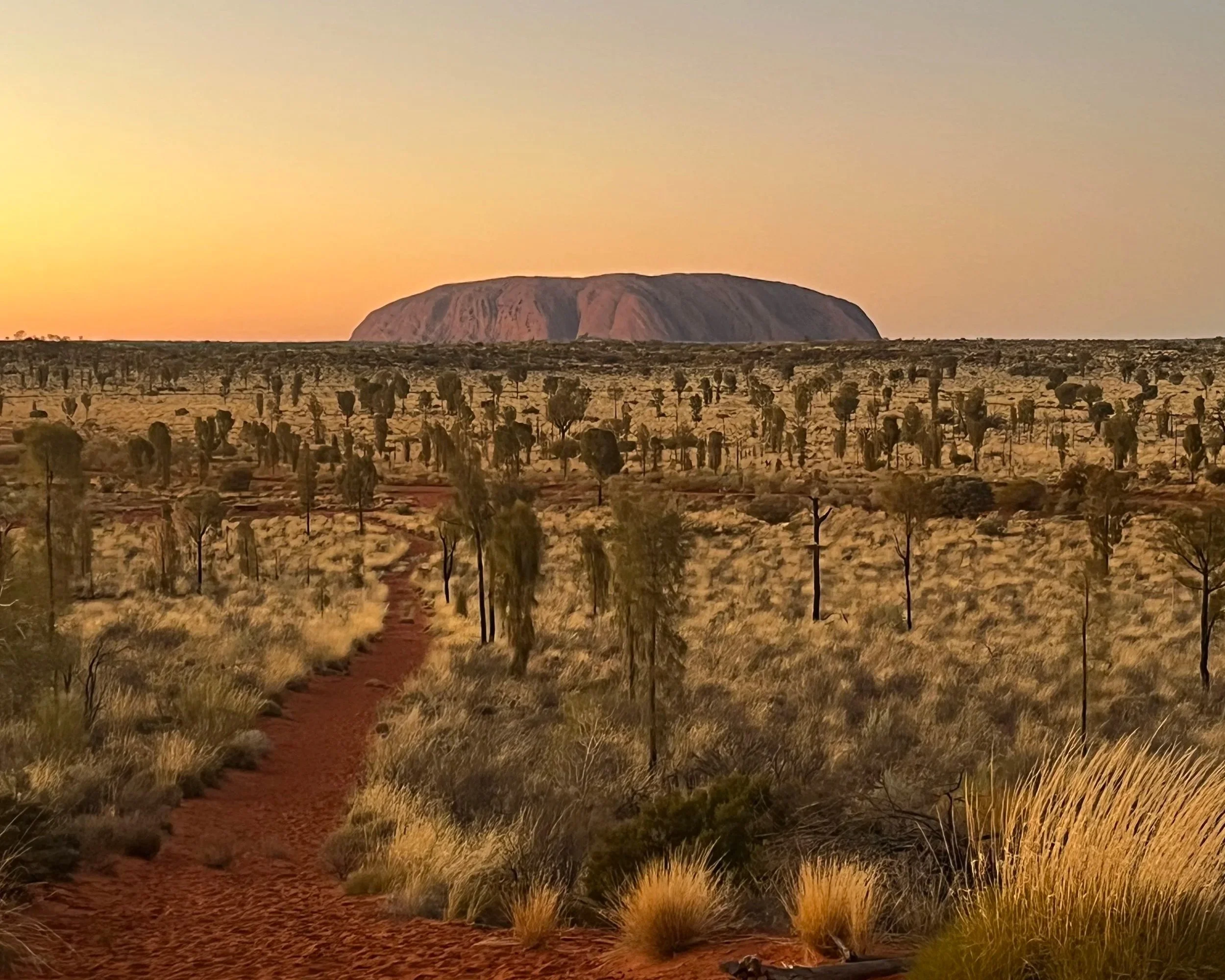 Sunset over Uluru with a trail leading through desert vegetation.