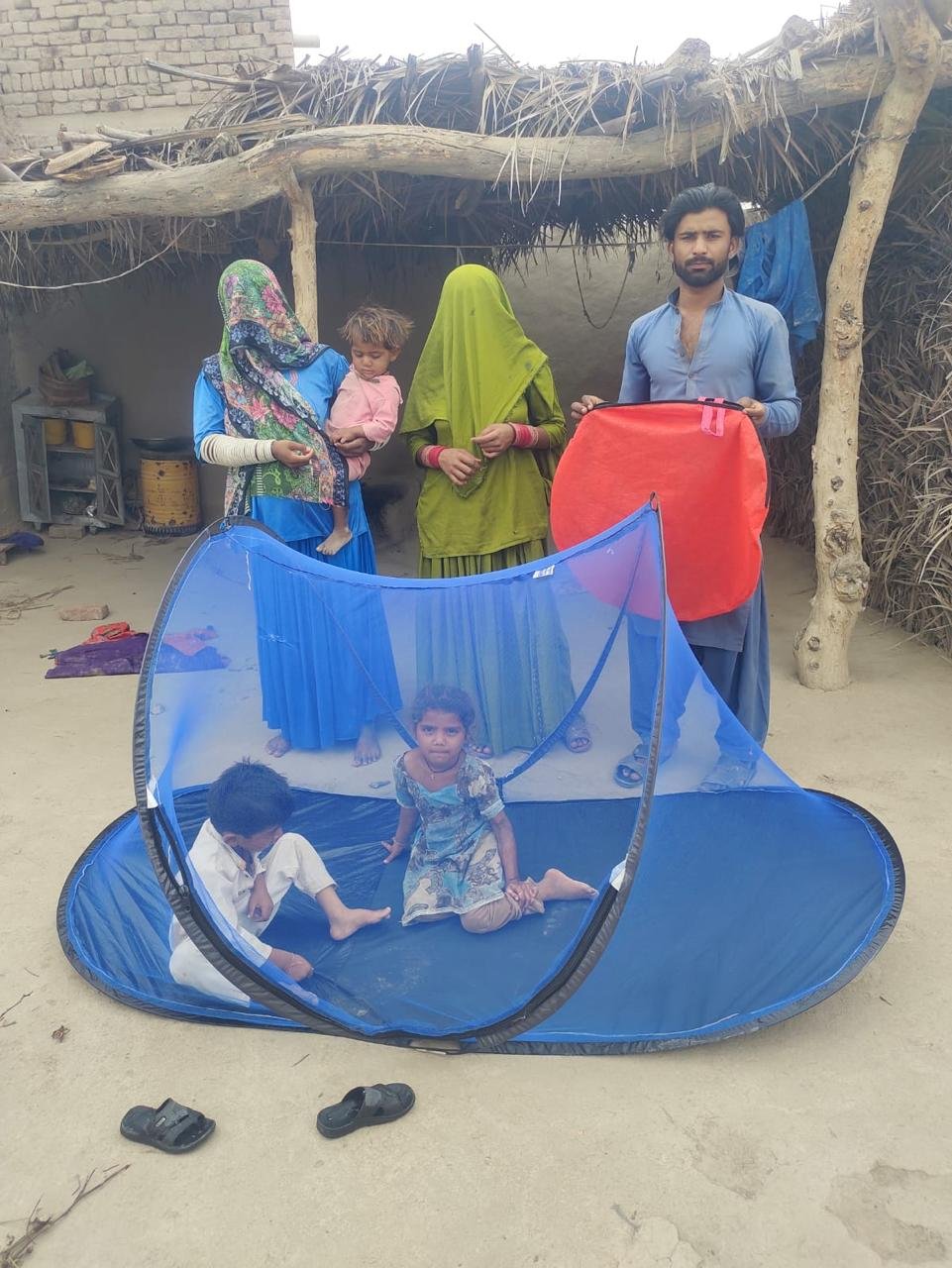 JLH Mosquito nest - Sindh 4.jpeg