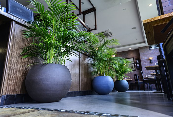 island planters a.jpg