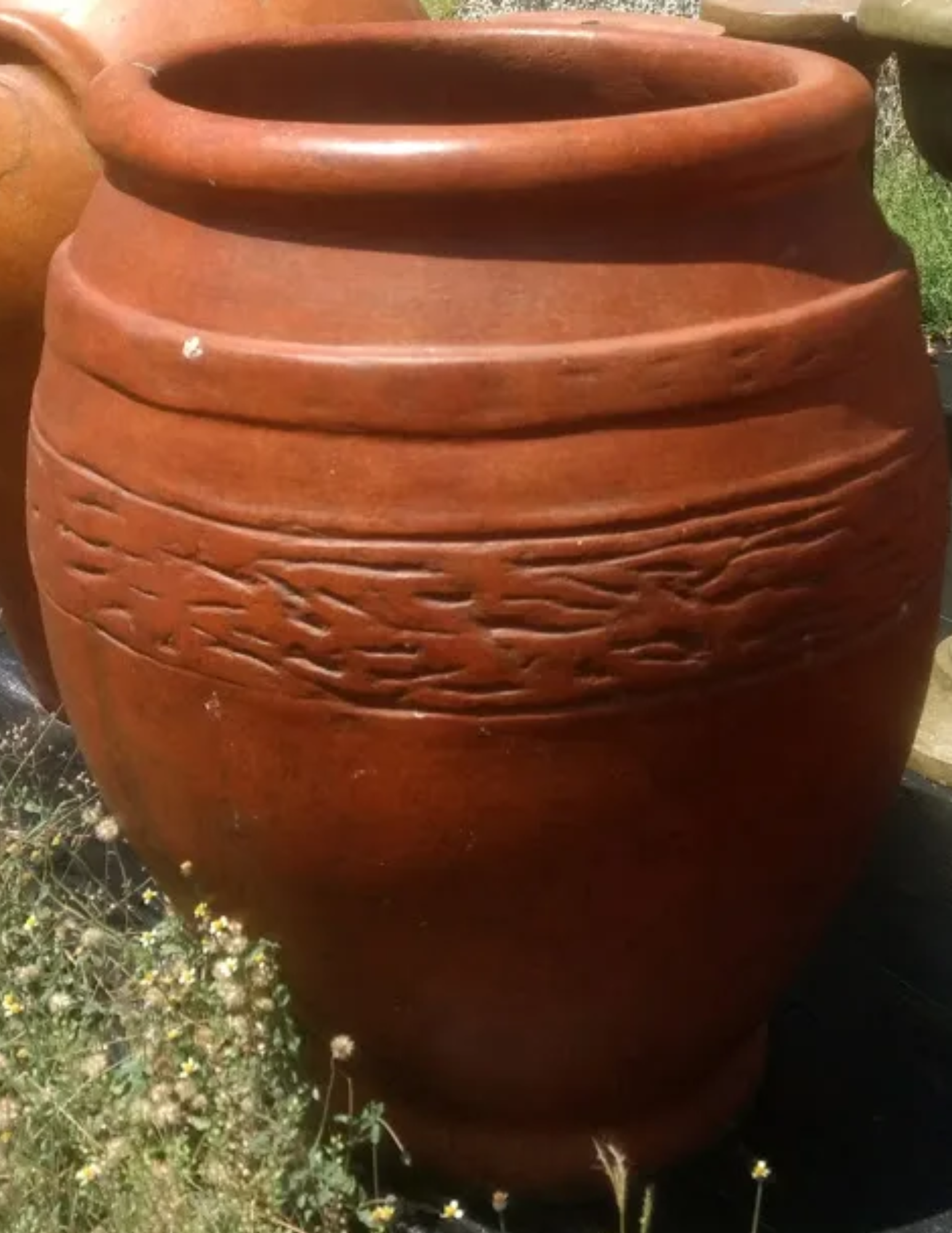 #55 "Large Israeli"