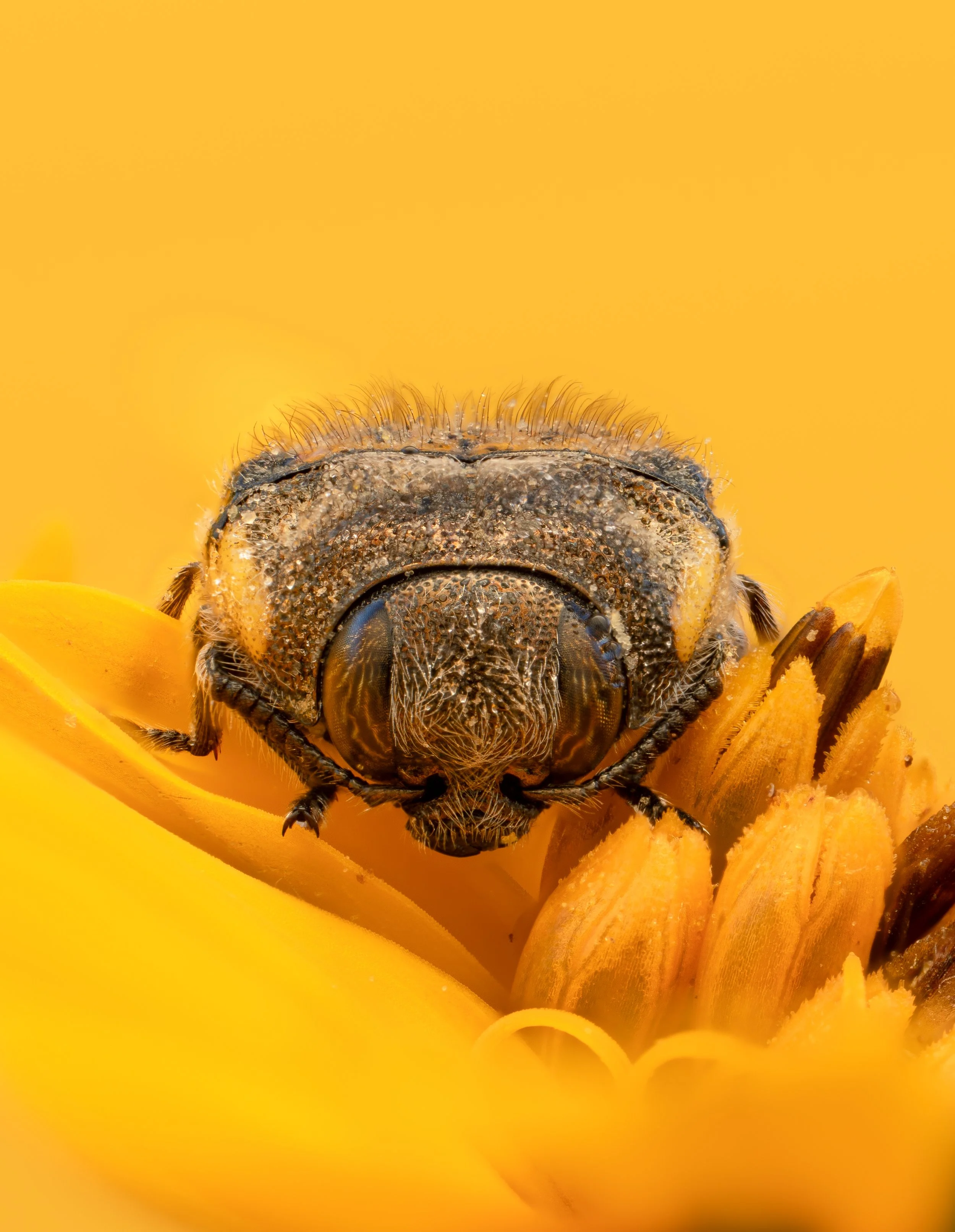 2026-03-22 15-14-38 (A,R8,S4).jpg