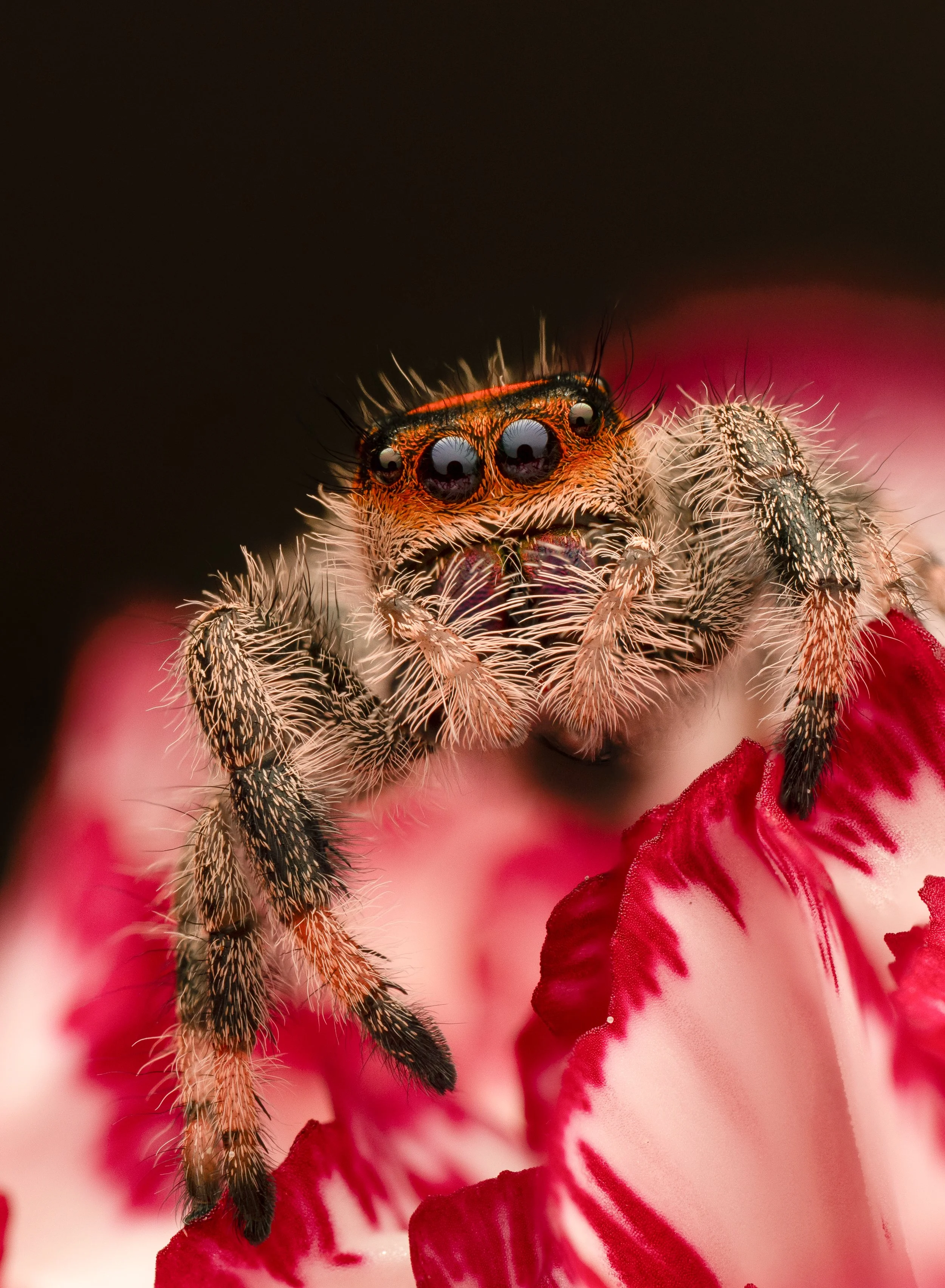 2026-07-22 16-46-23 (B,R22,S10)-Edit-2.jpg