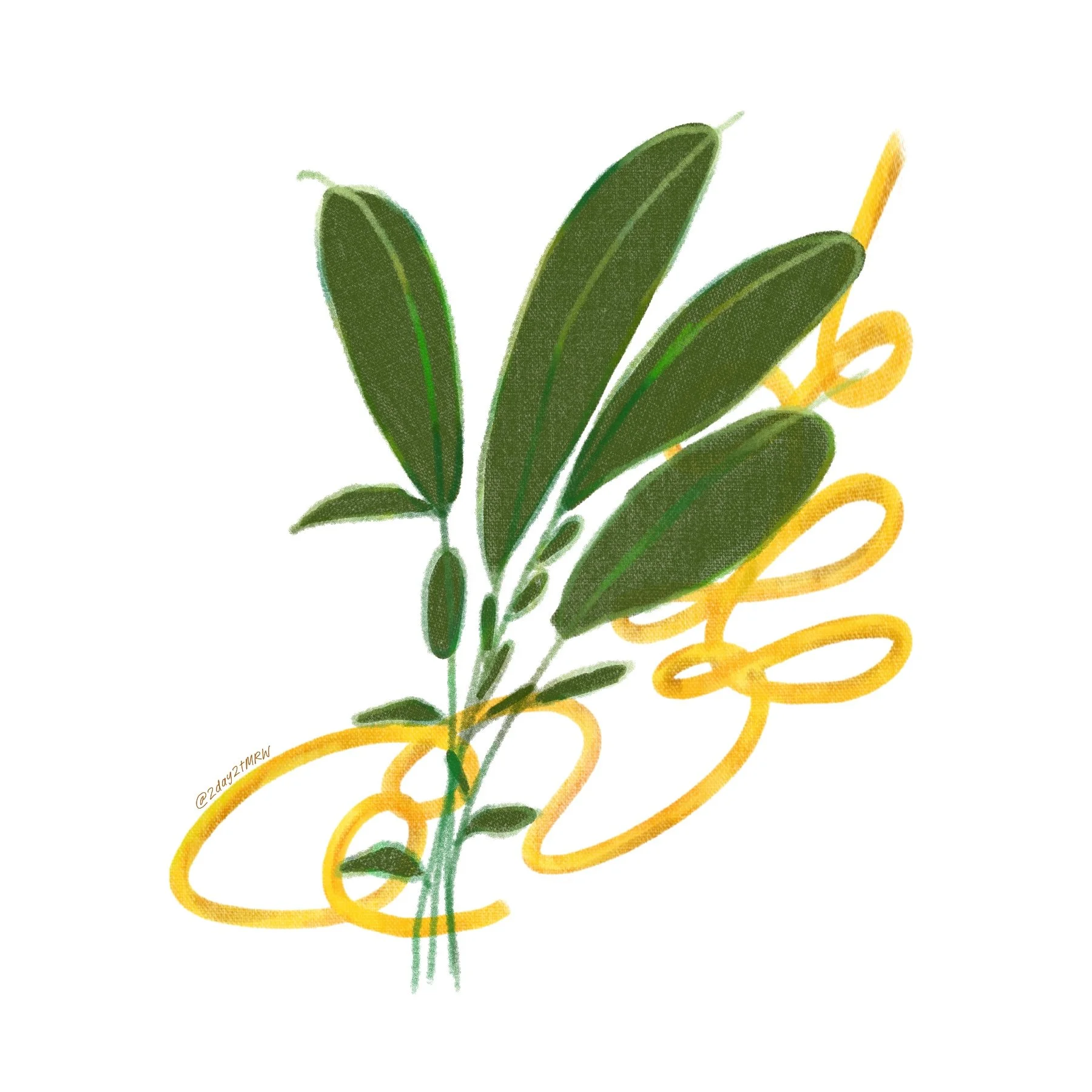 A Love Letter to Basil