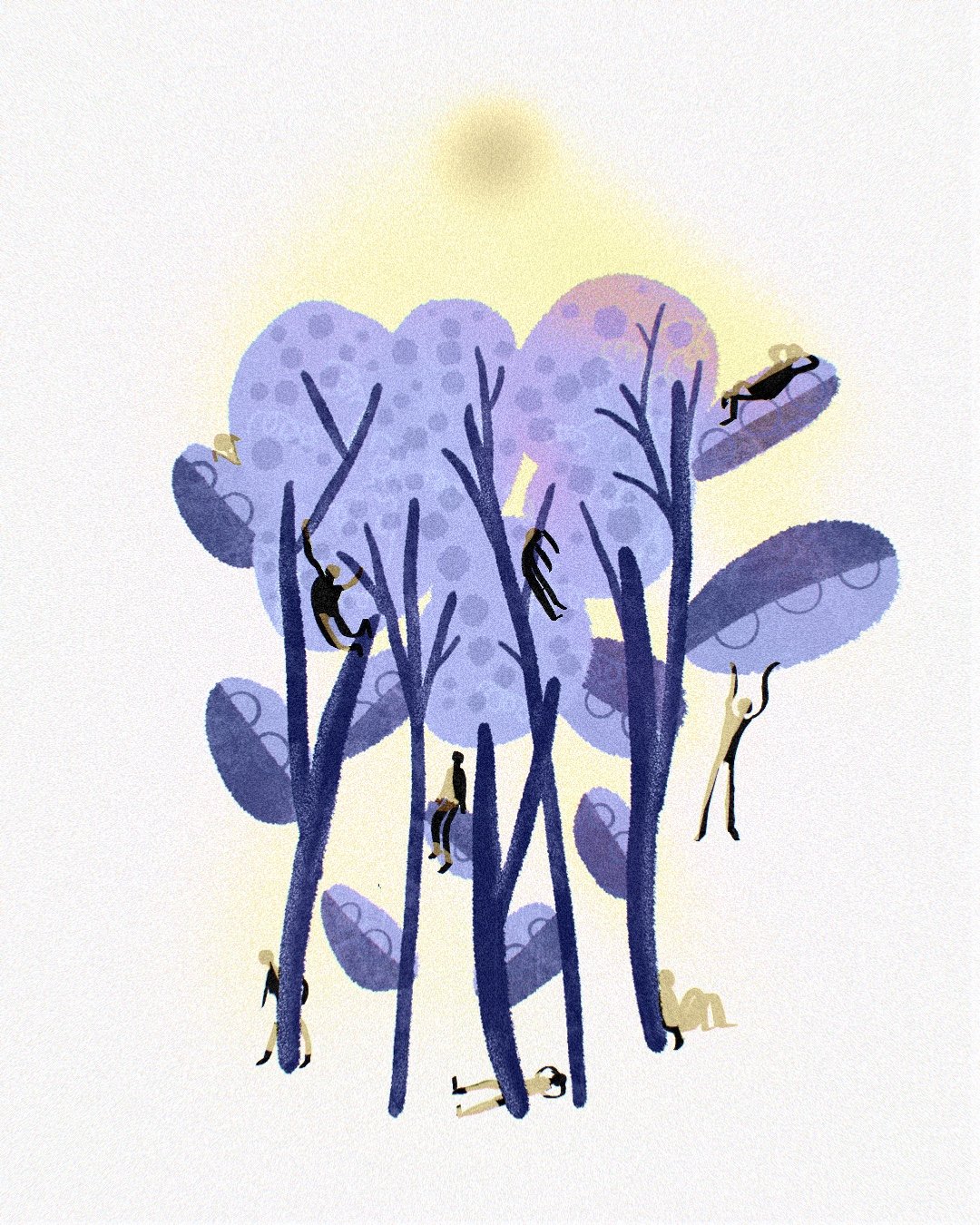 Beneath the Boughs: A Summer Escape in the Trees