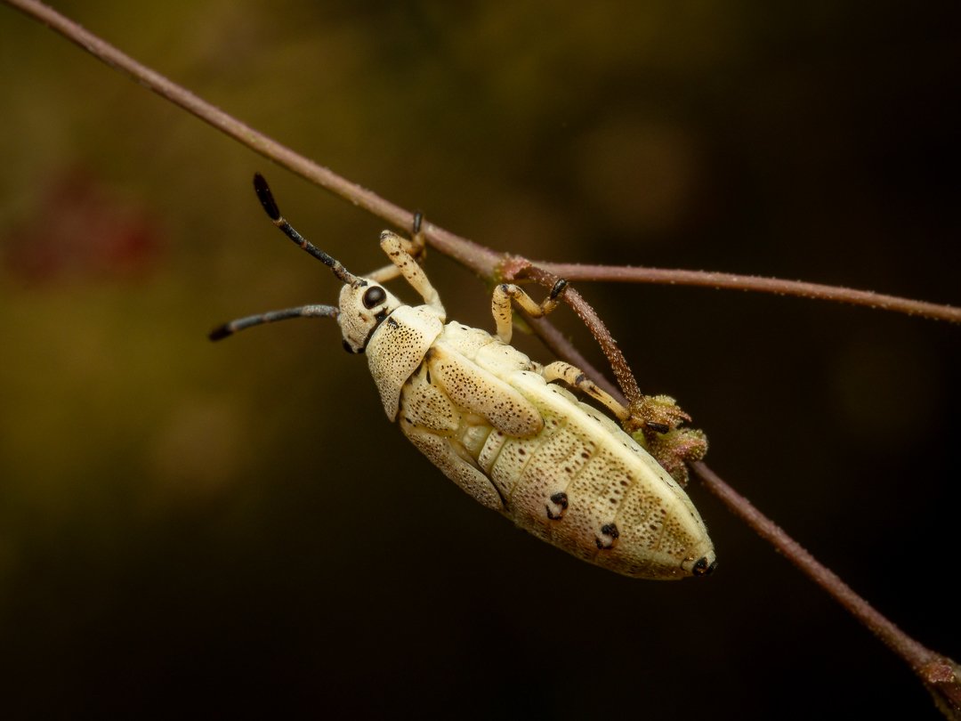 DSC_0592.jpg