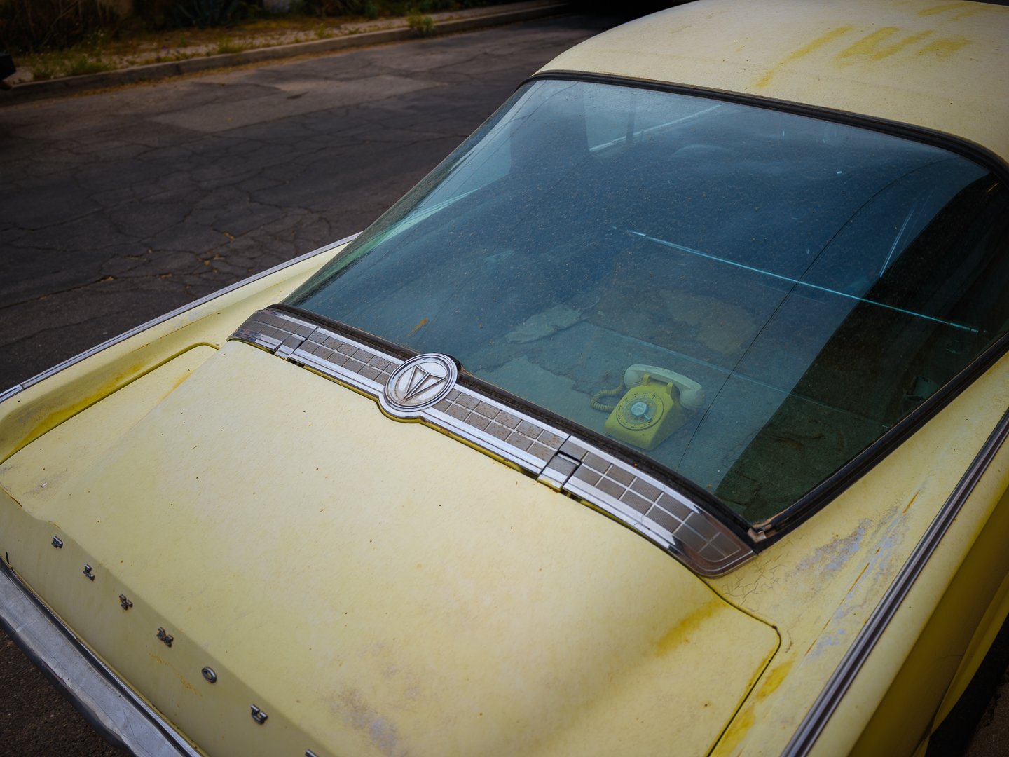 DSCF1069.jpg