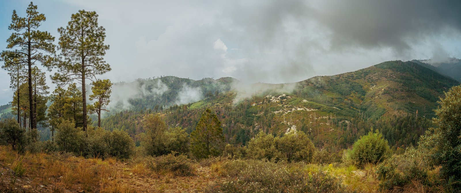 Rain and clouds on Mt Lemmon, in Tucson, Arizona.