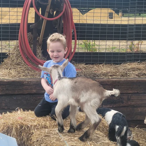 petting-zoo-fox-run-acres