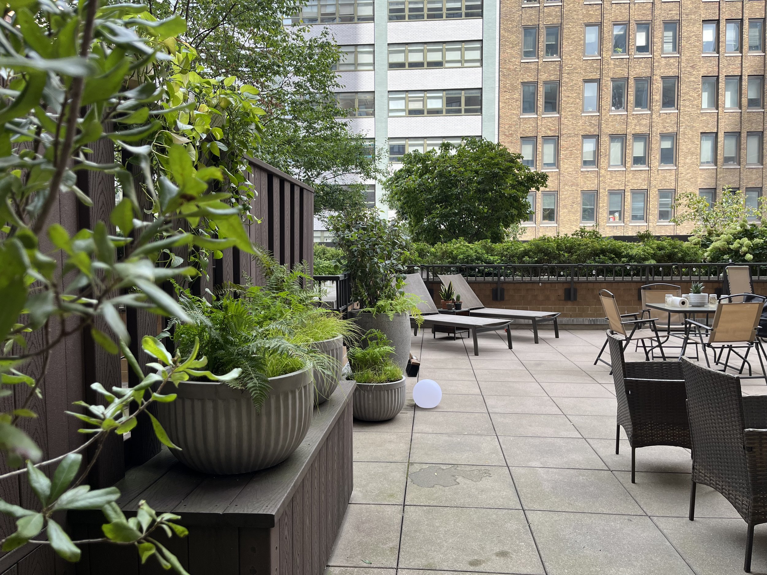 Terrace.jpg