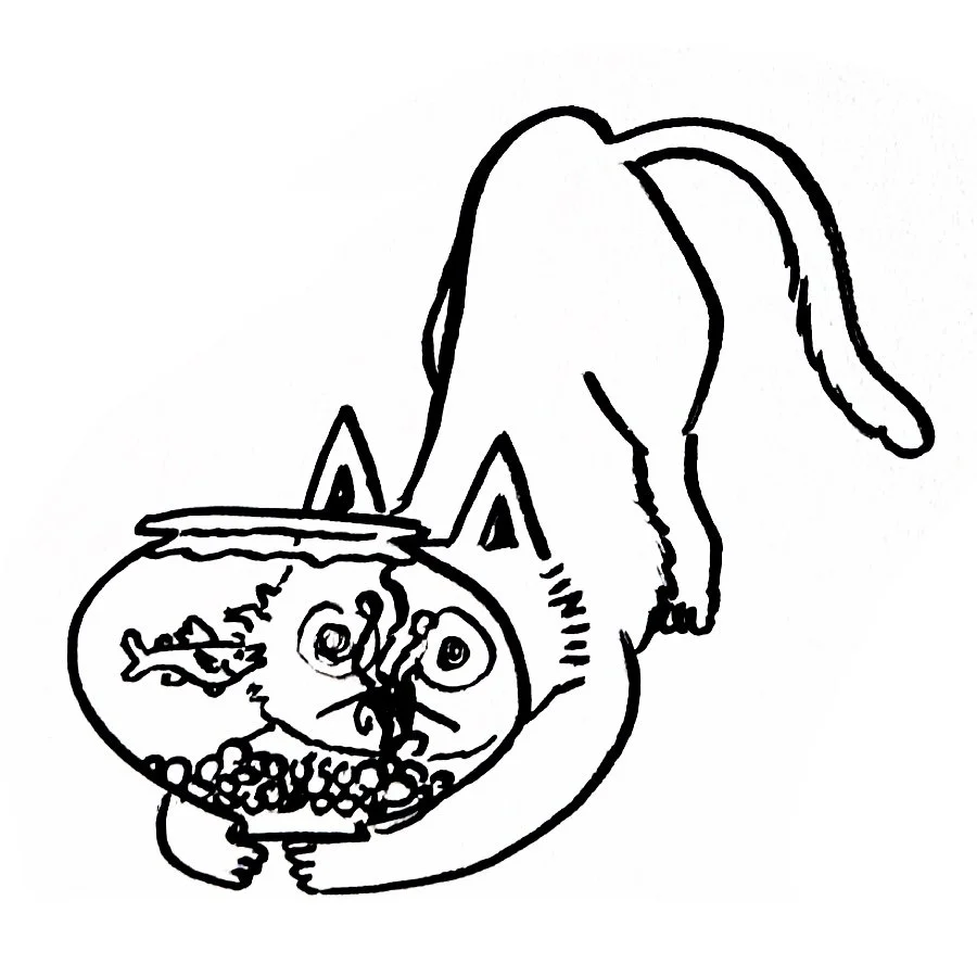 fishbowl cat doodle.jpg