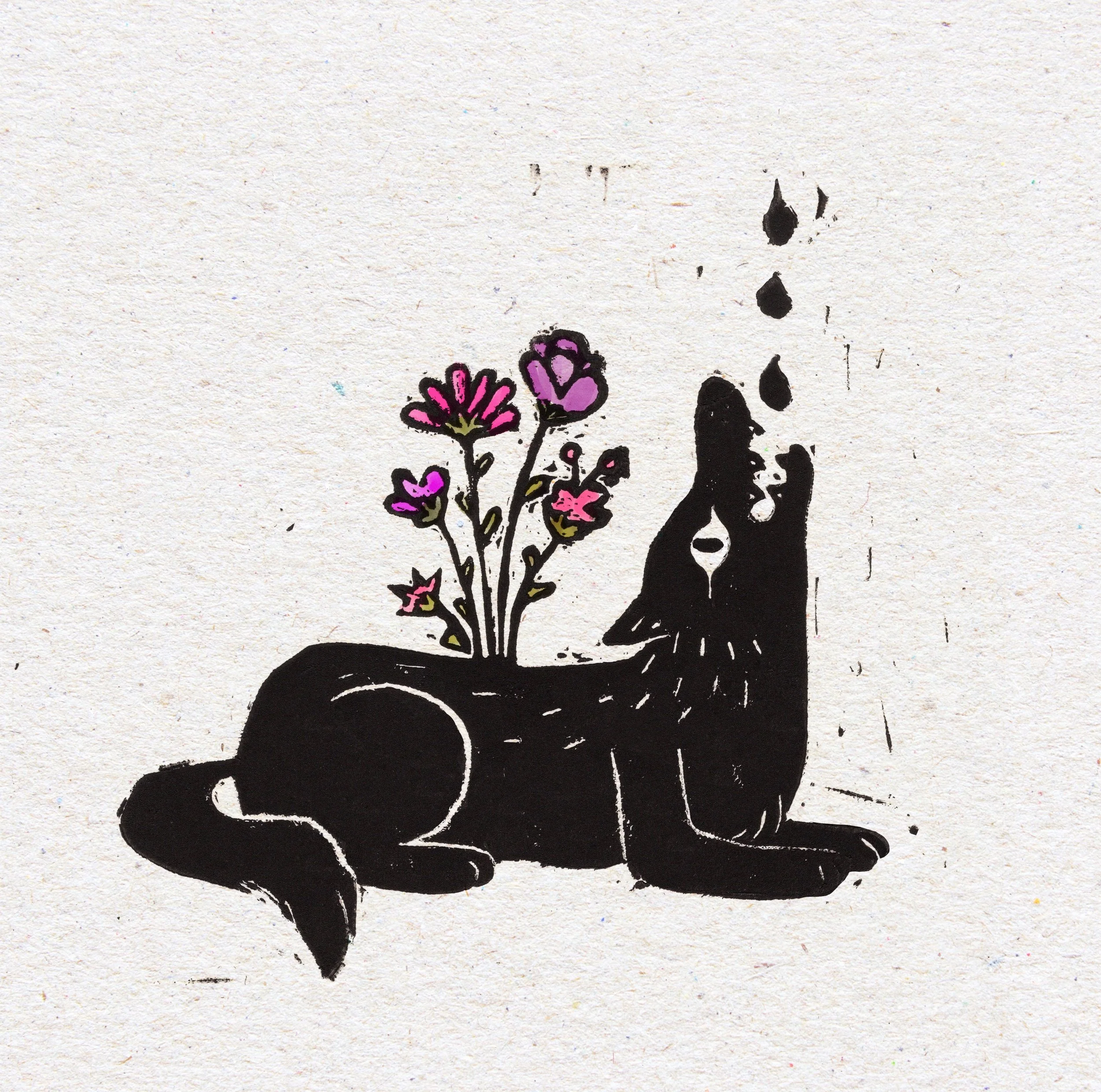 Waldman LaLoba 4.5x4.5.JPG