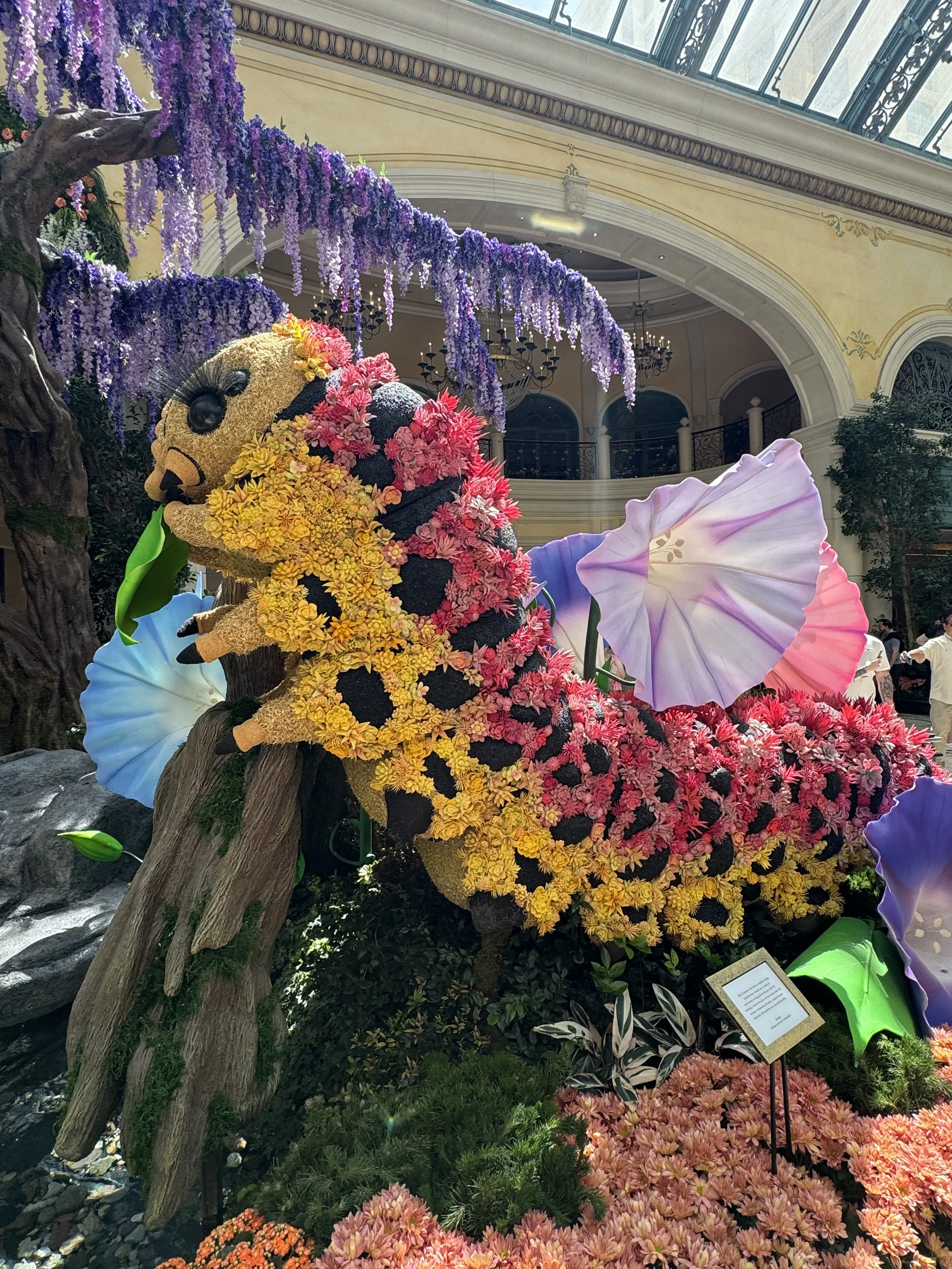 Bellagio Conservatory &amp; Botanical Gardens