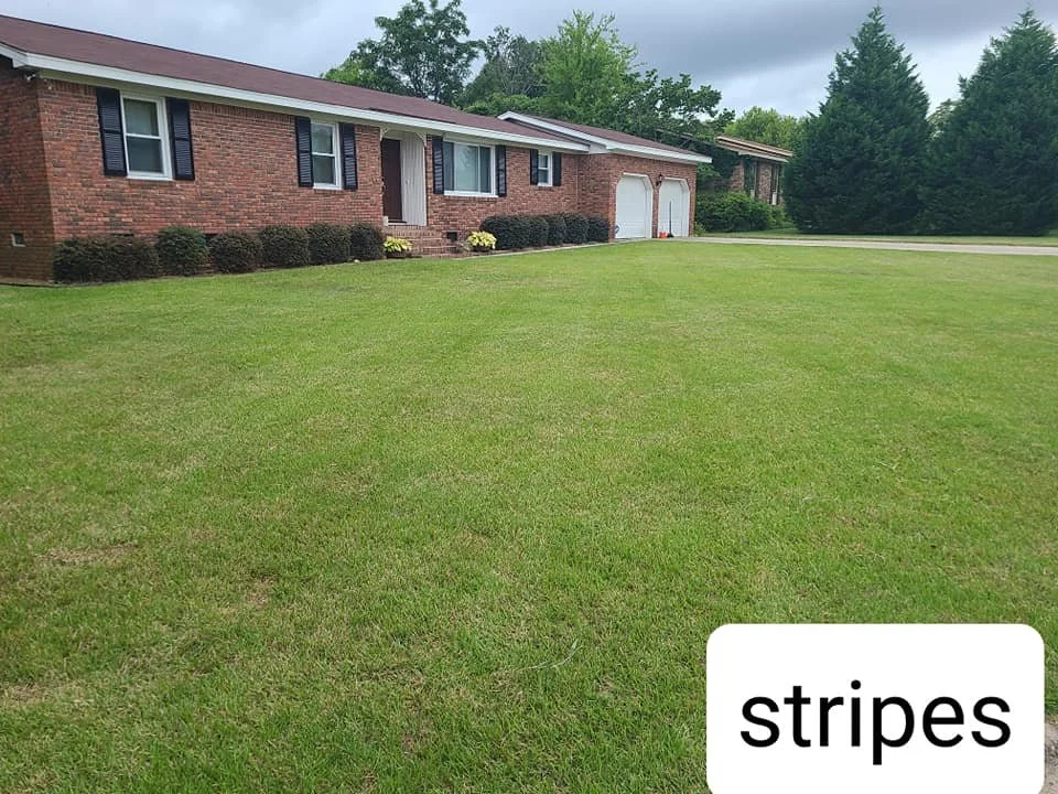 Yard Service Columbia SC.jpg