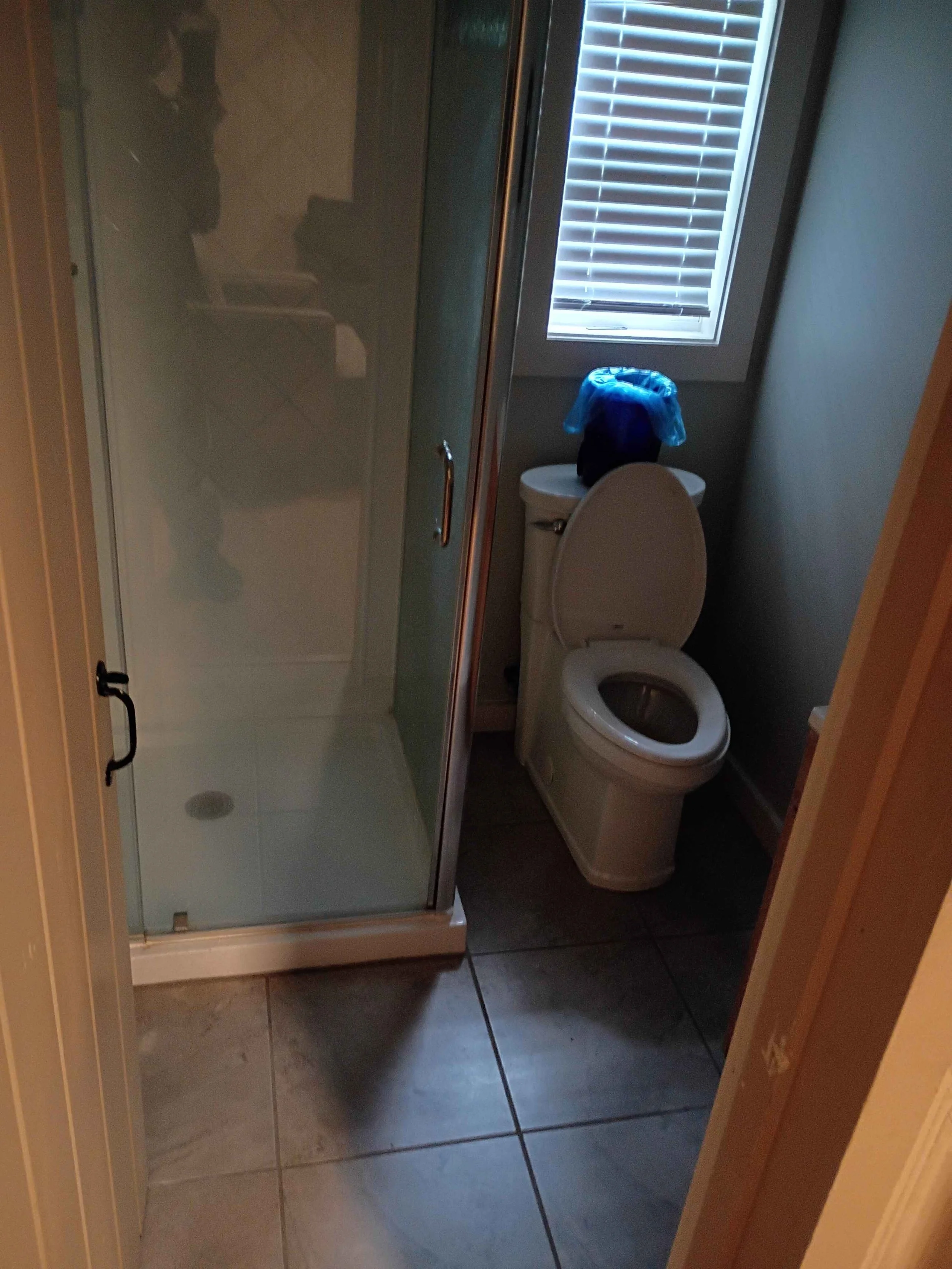 IMG_20260920_142200479_HDR.jpg