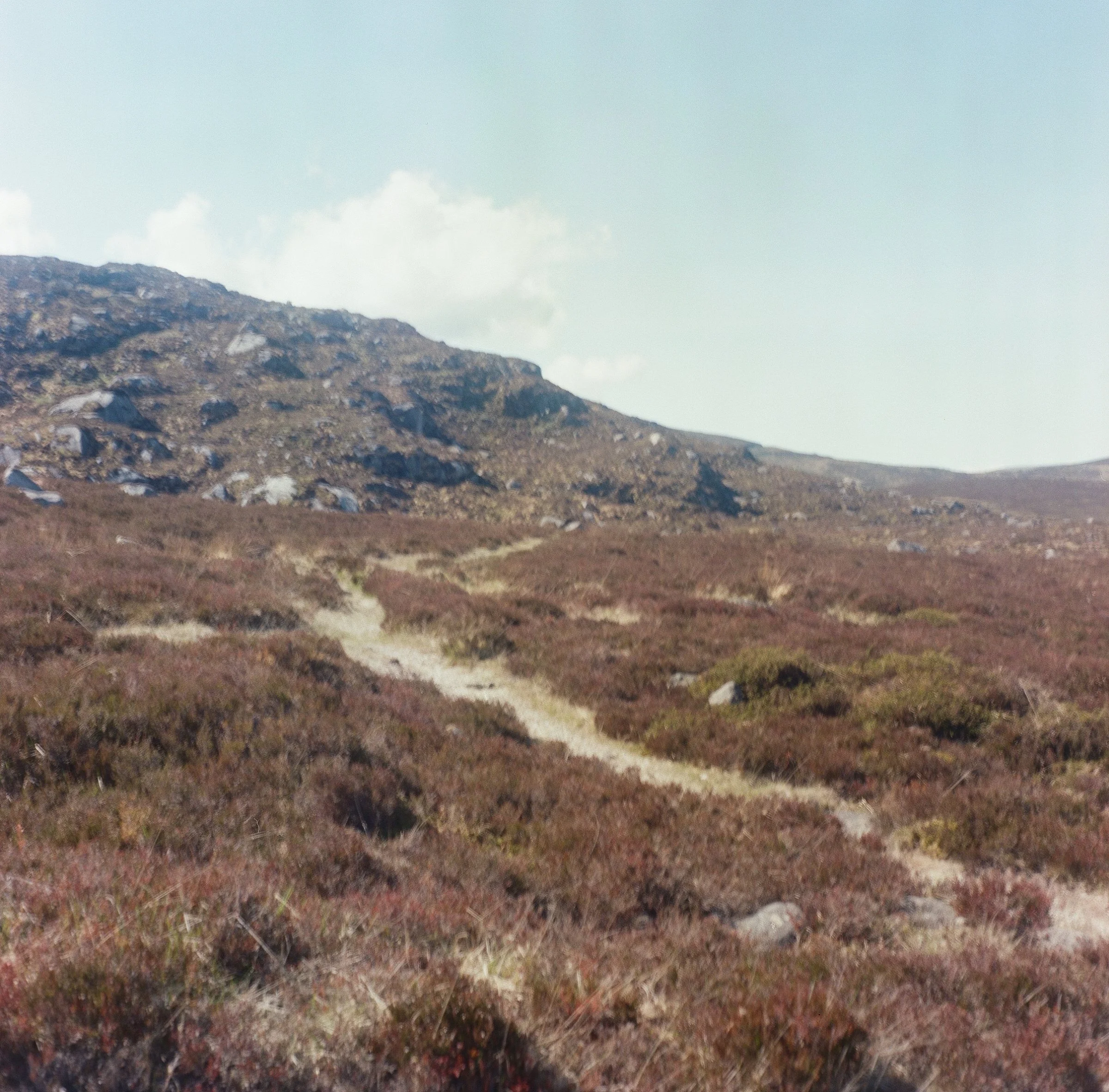 Wicklow, 