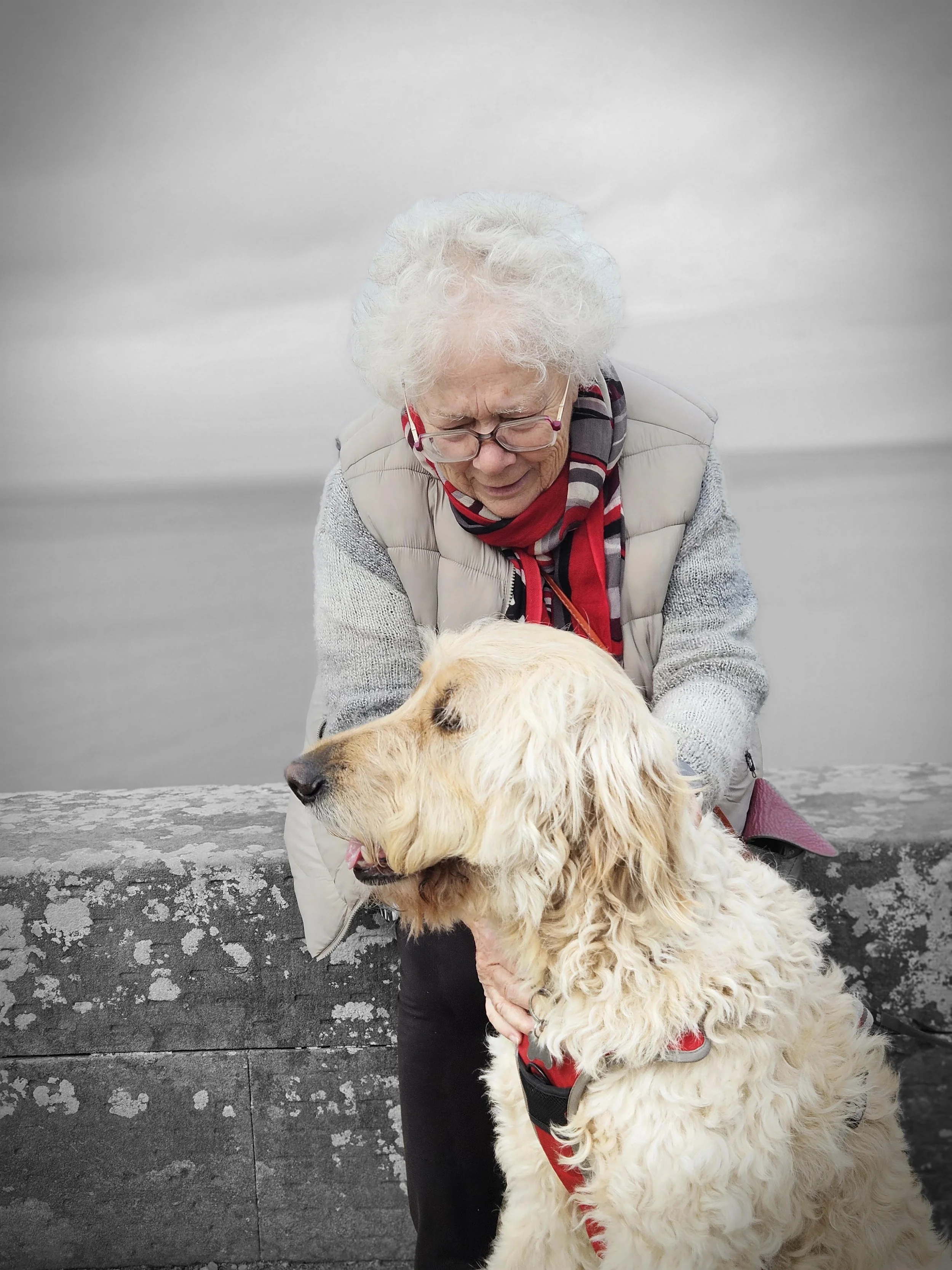 Author Susan Ackroyd with her golden retriever outdoors.