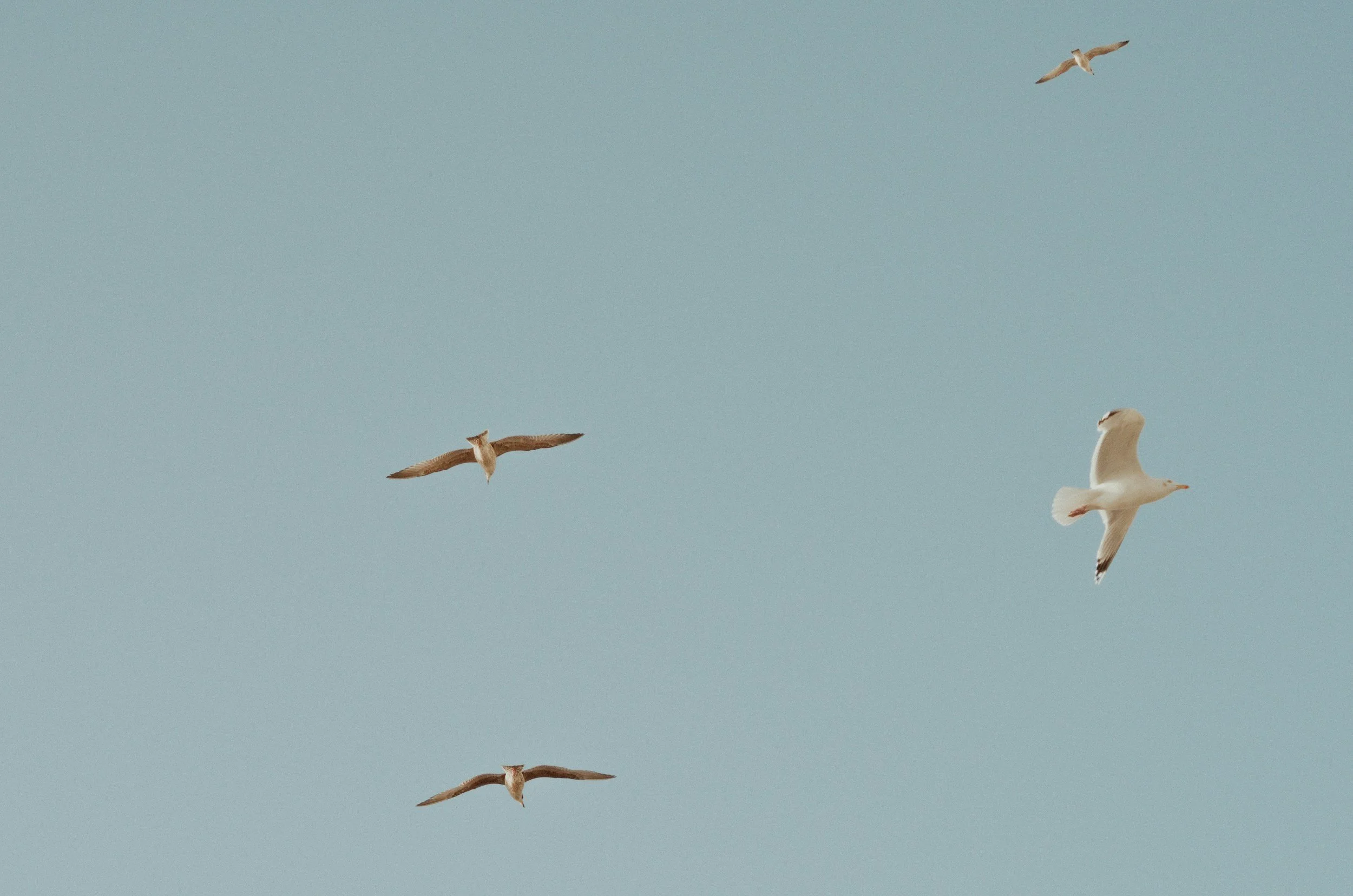 When Everything Feels Like Too Much: Understanding Demand Load and Finding Breathing Space