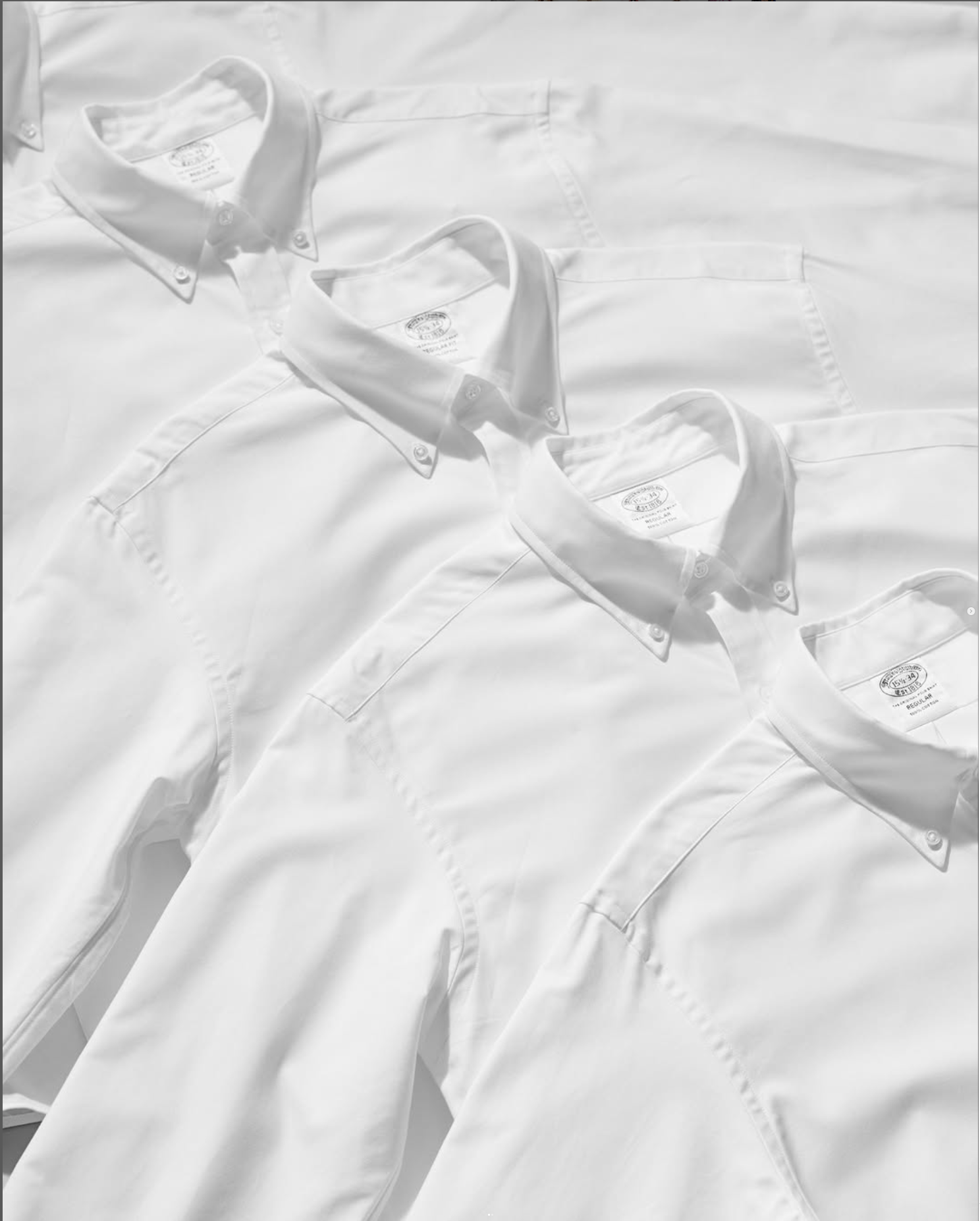 Screenshot 2025-03-20 at 3.13.13 PM.png