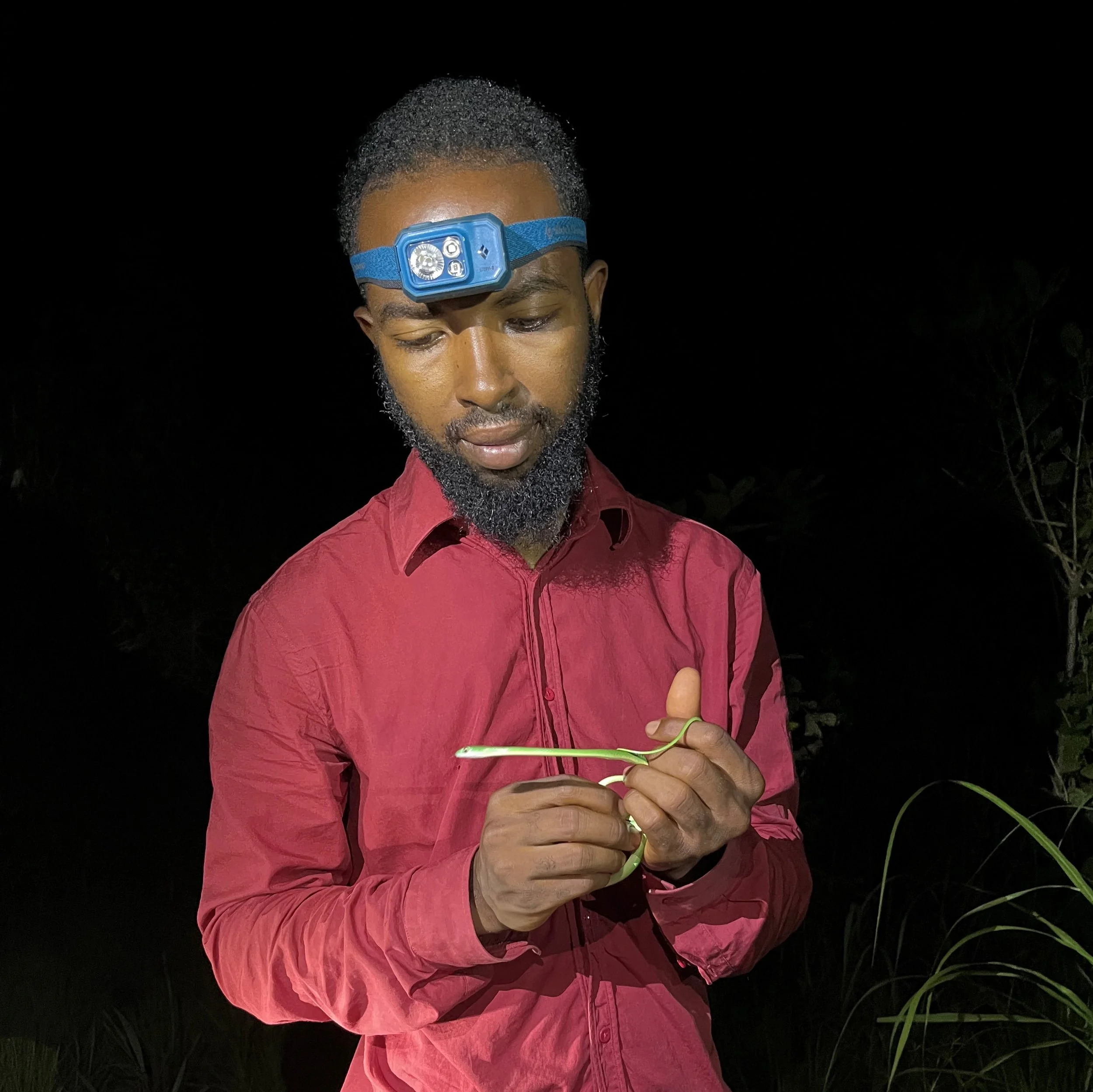 Alpha Baldé, PhD
