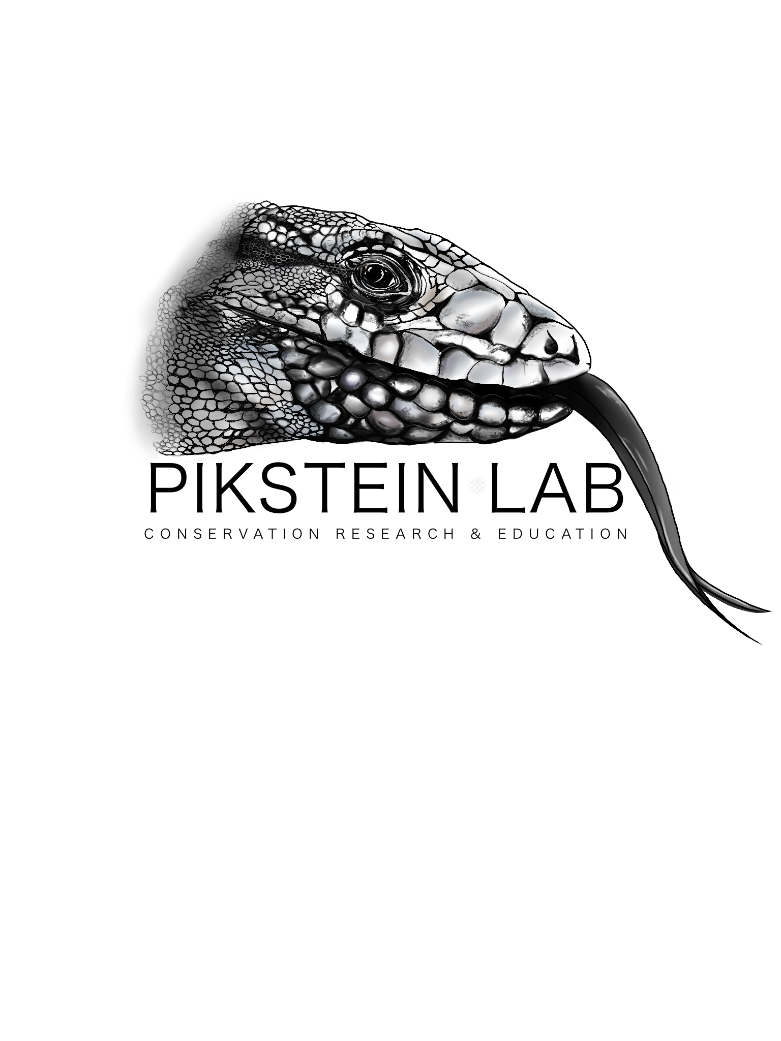 PiksteinLabLogo1.PNG
