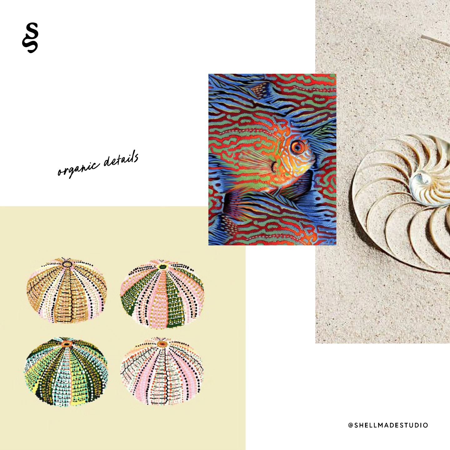 Moodboarding today to develop some directions for the shellmade surface pattern collection. I can tell already that it is going to be vibrant with lots of striking contrast.
 
This direction is from my childhood memories spent near the ocean searchin