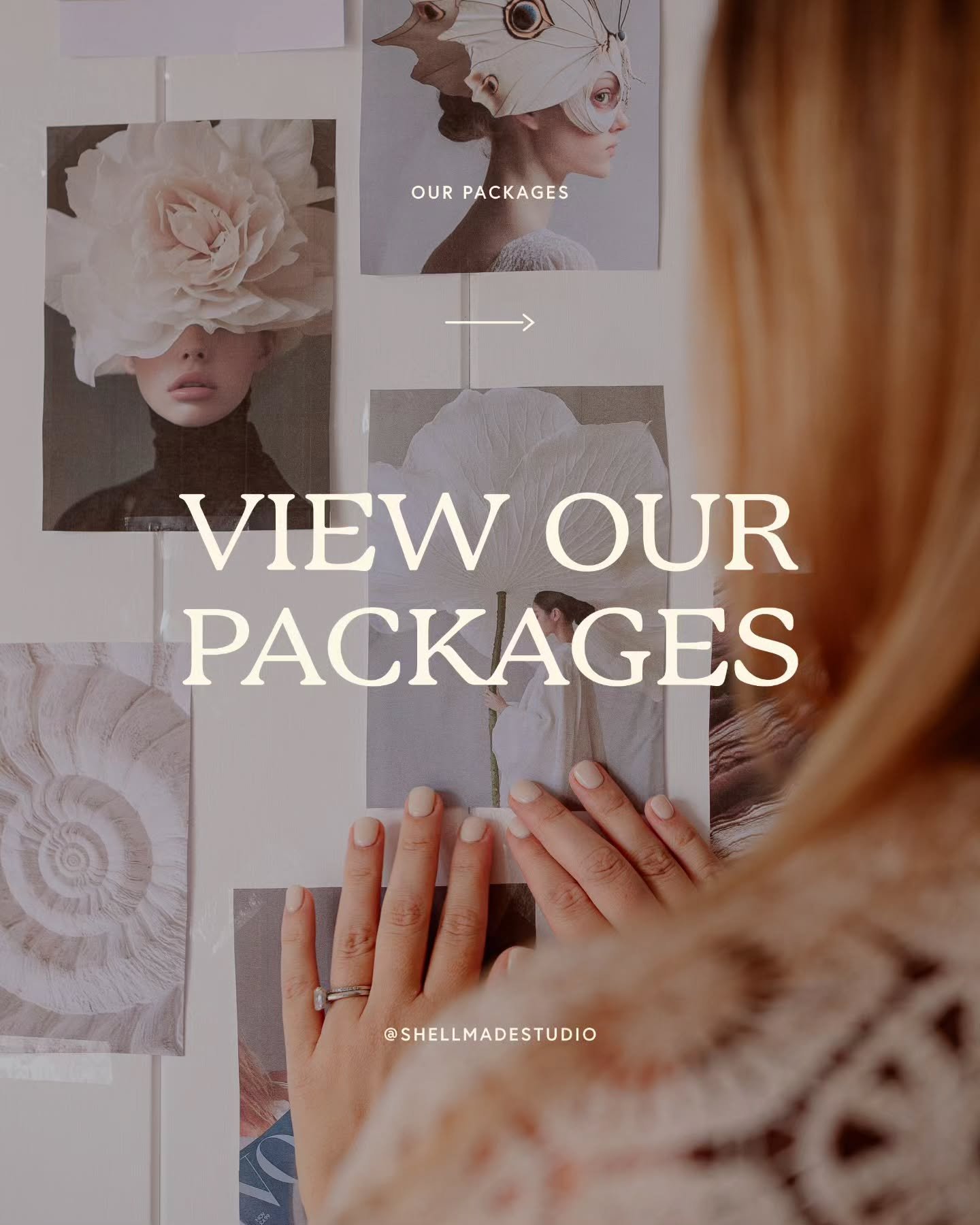 Our new packages are up 🙏

We are entering a new chapter where our service offerings have shifted. My new capacity will mean we will be only able to take on one project at a time, so availability is limited ✨️

💎 THE SERENITY LOGO SUITE
For busines