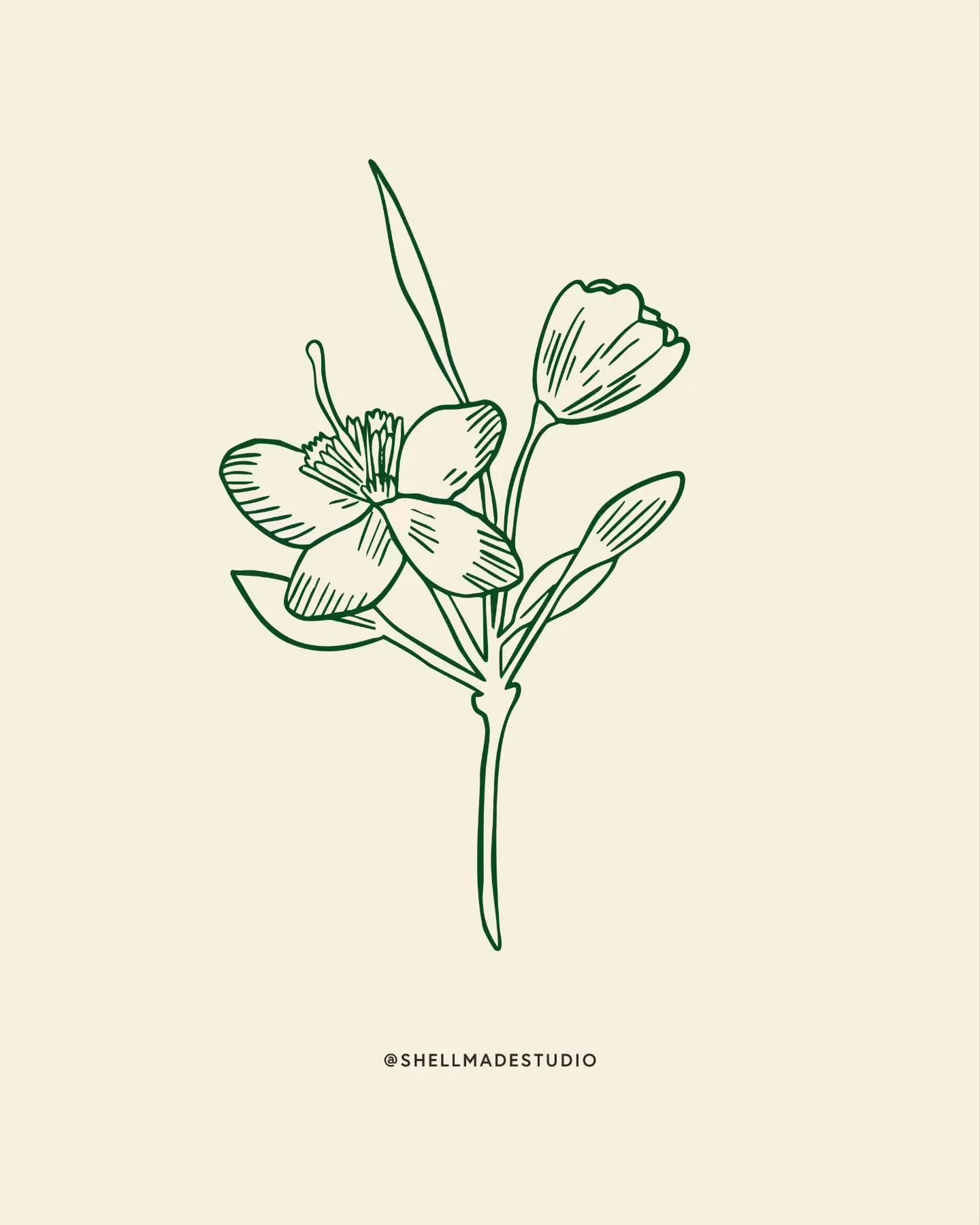 These custom illustrations for @botanical.abundance began as Jessie-Anne&rsquo;s beautiful hand-painted botanicals 🥰

We digitised each piece to align perfectly with her branding, ensuring her own art takes centre stage in her visual identity.

Ever