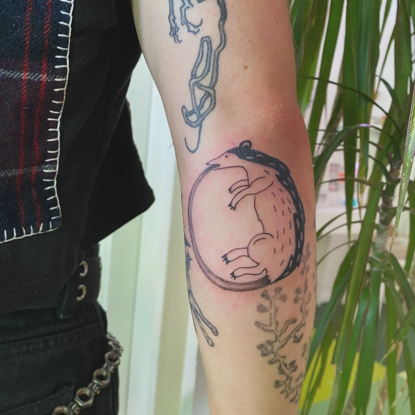 ouroboros in the style of 🐀
love hanging with Oakley
go check out their work!  @flesh.monger 
⭕️⭕️⭕️⭕️⭕️⭕️⭕️⭕️
#ouroboros #qttr #deepthroatchallenge