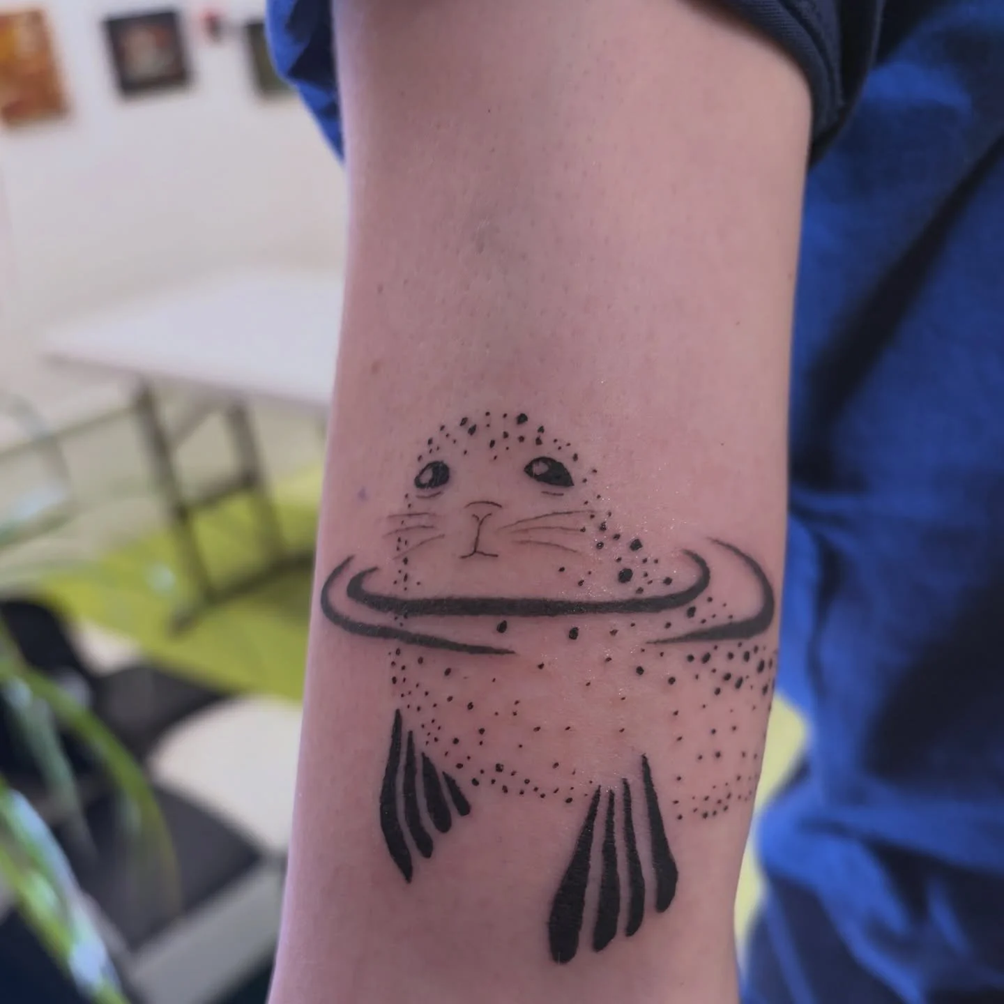 🥹
custom harbor seal baby boogoogoo
thankyou kallie!