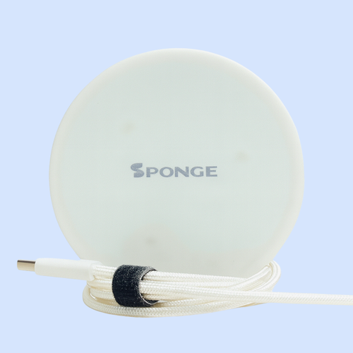Sponge Coaster