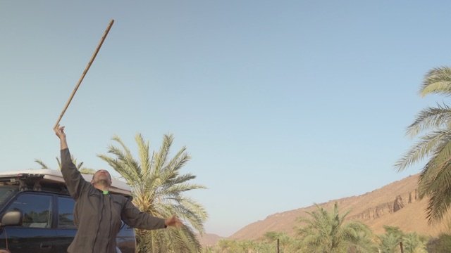 Le spectacle screenshot.jpeg