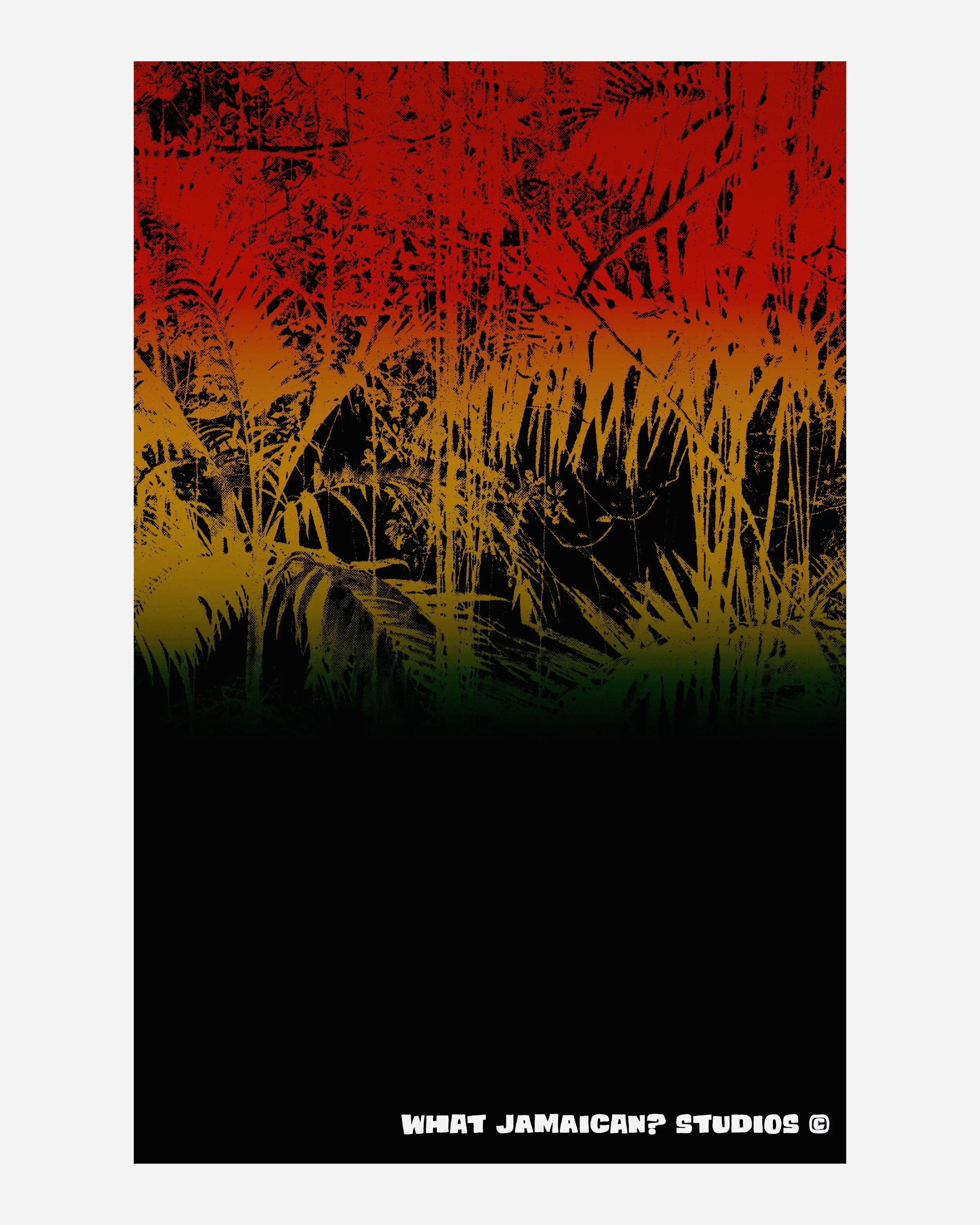 PM_Back_Cover_Afterlight.jpg