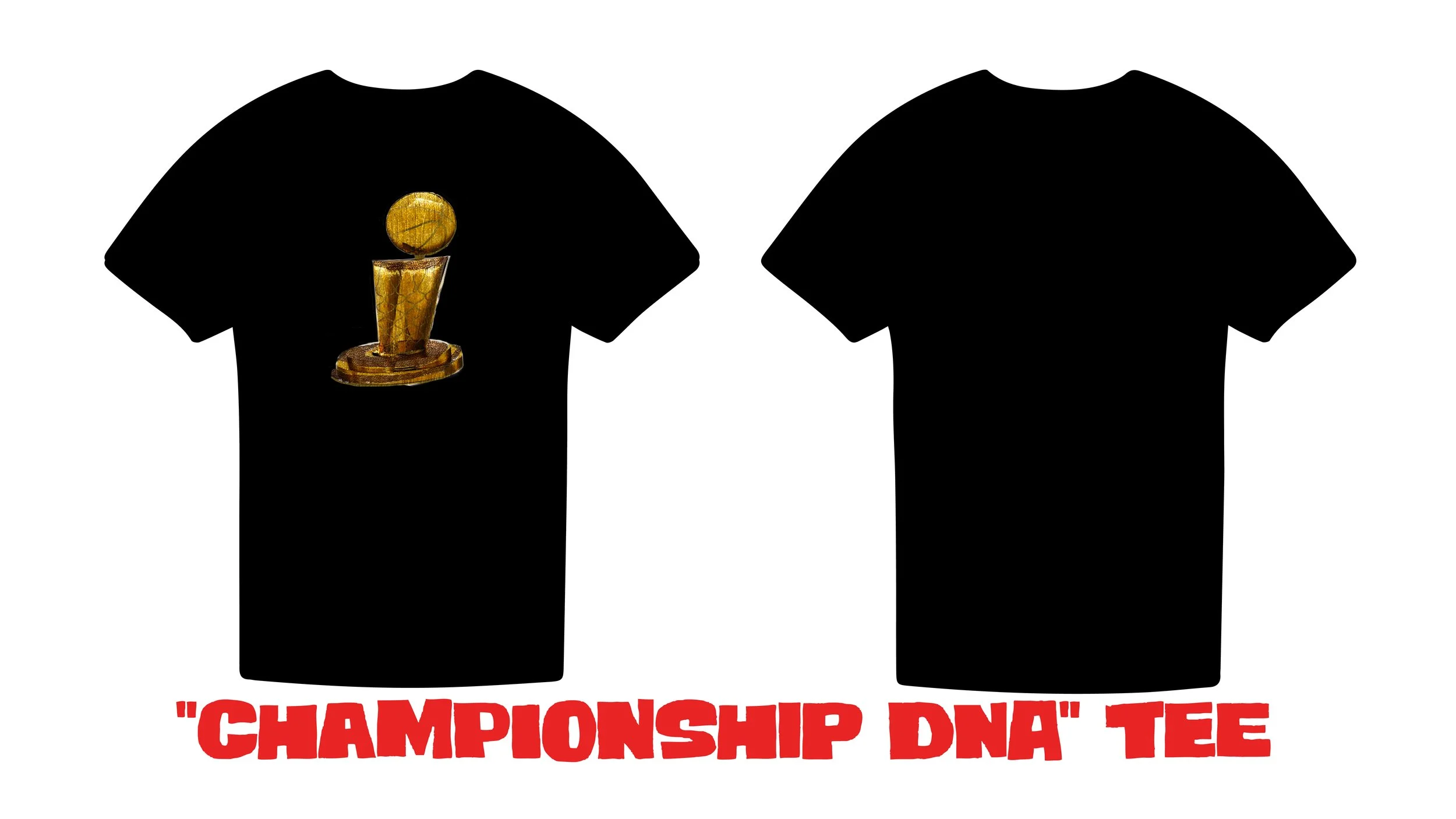 Detroit-Pistons-Designs2-10.jpg