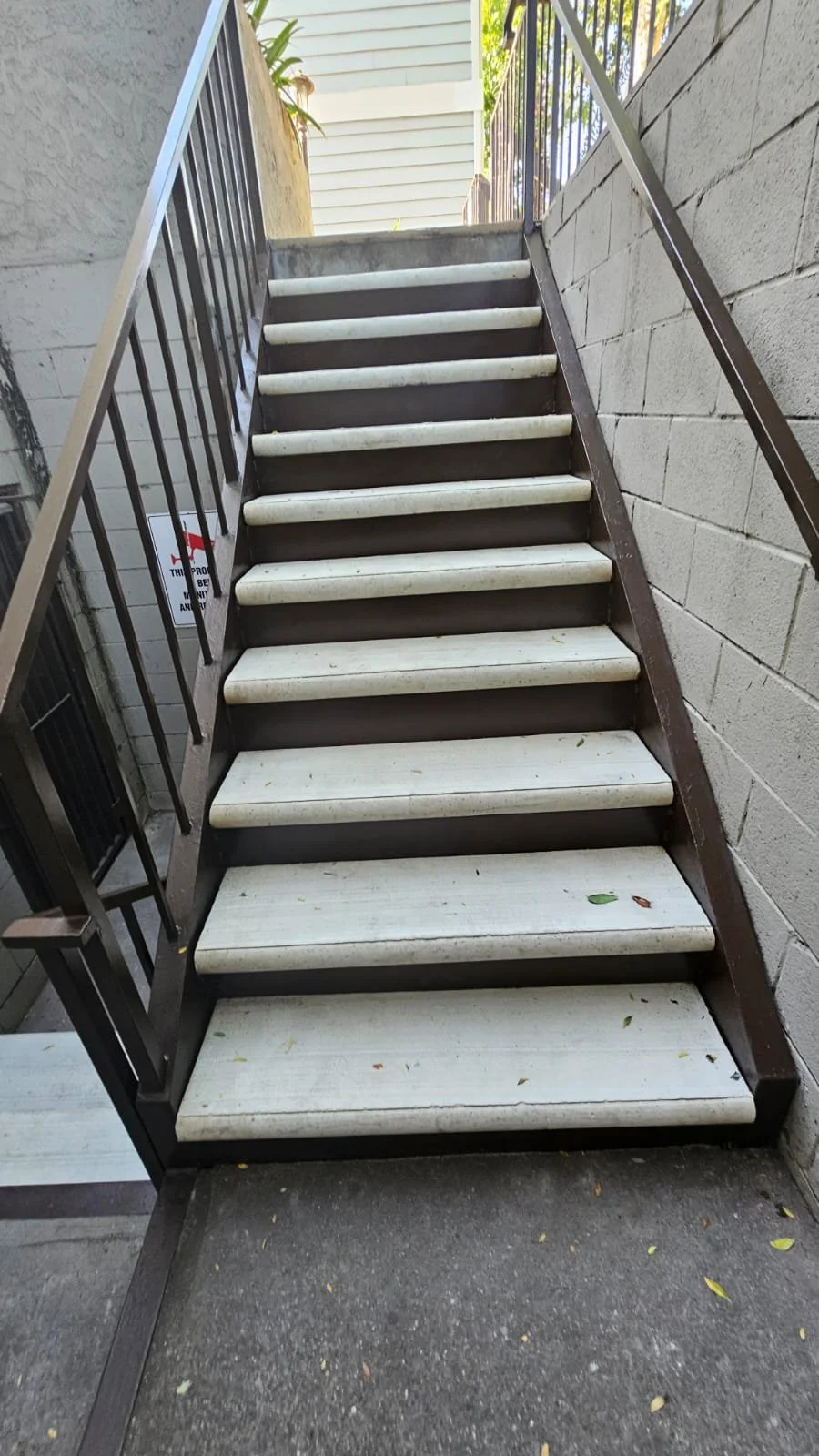 WhatsApp Image 2025-01-08 at 4.50.28 PM (3).jpeg