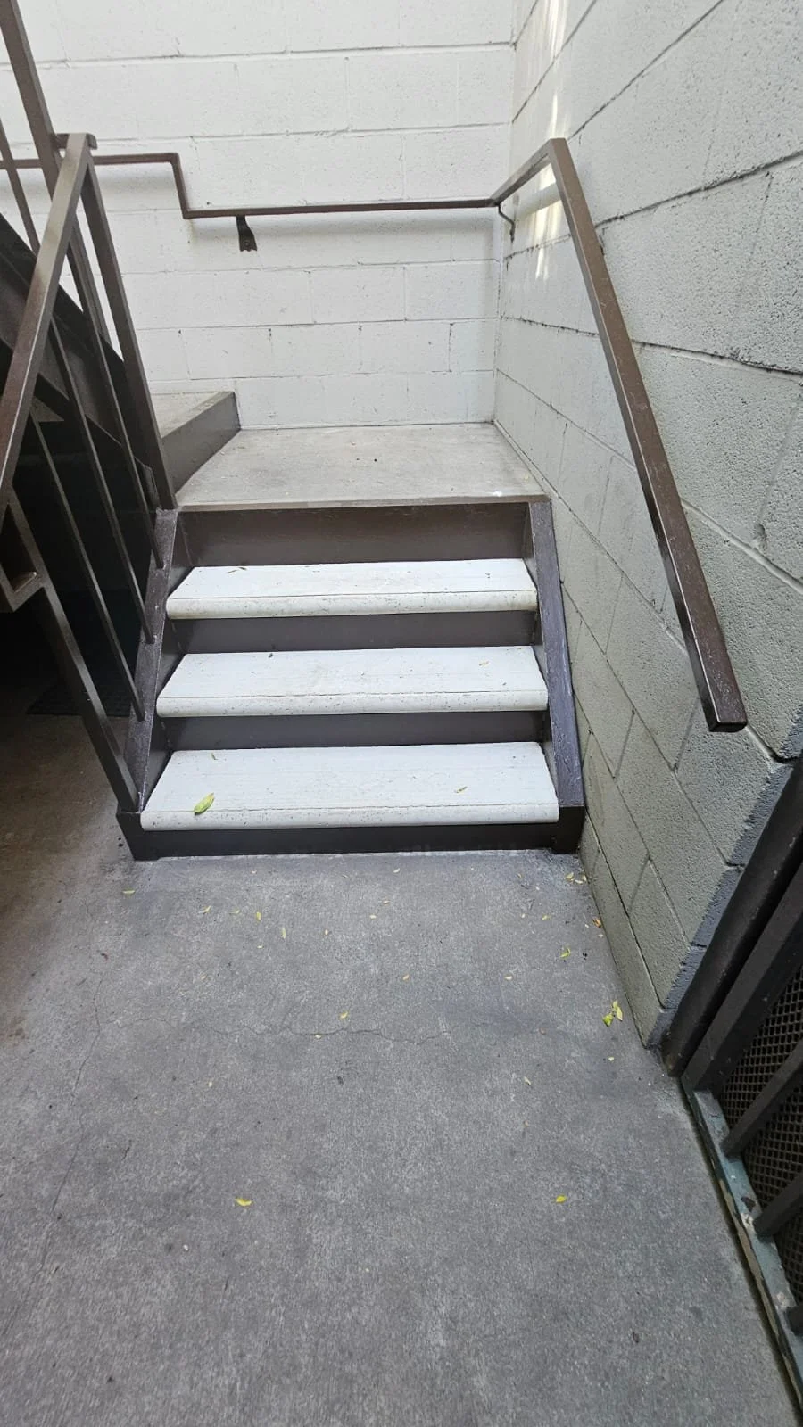 WhatsApp Image 2025-01-08 at 4.50.28 PM.jpeg