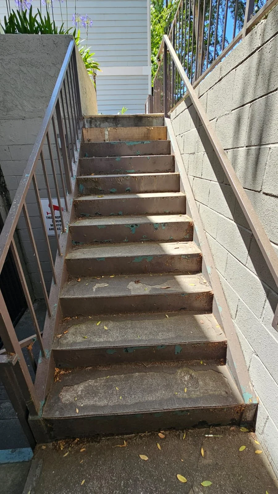 WhatsApp Image 2025-01-08 at 4.50.30 PM (1).jpeg