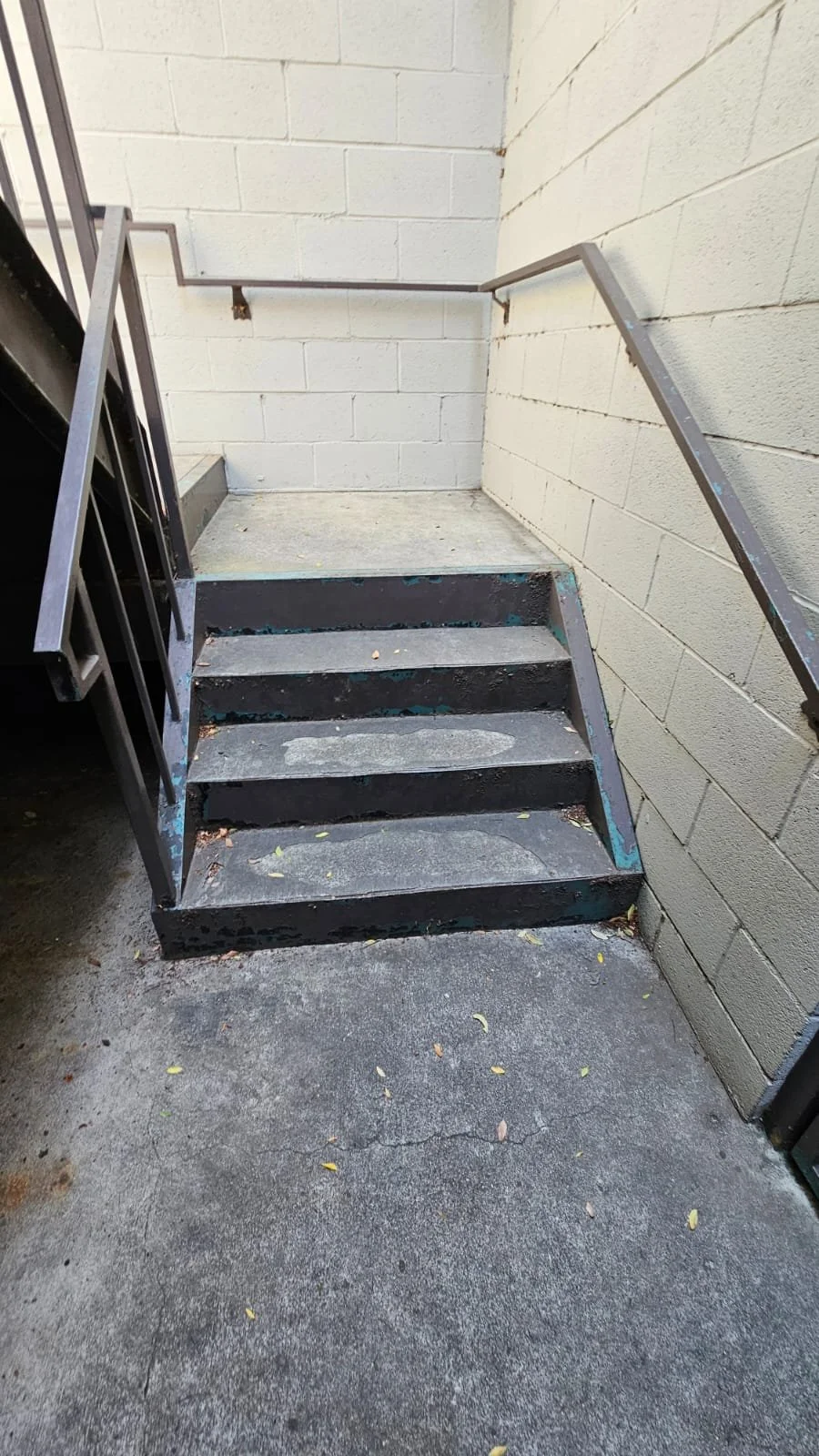 WhatsApp Image 2025-01-08 at 4.50.30 PM (2).jpeg