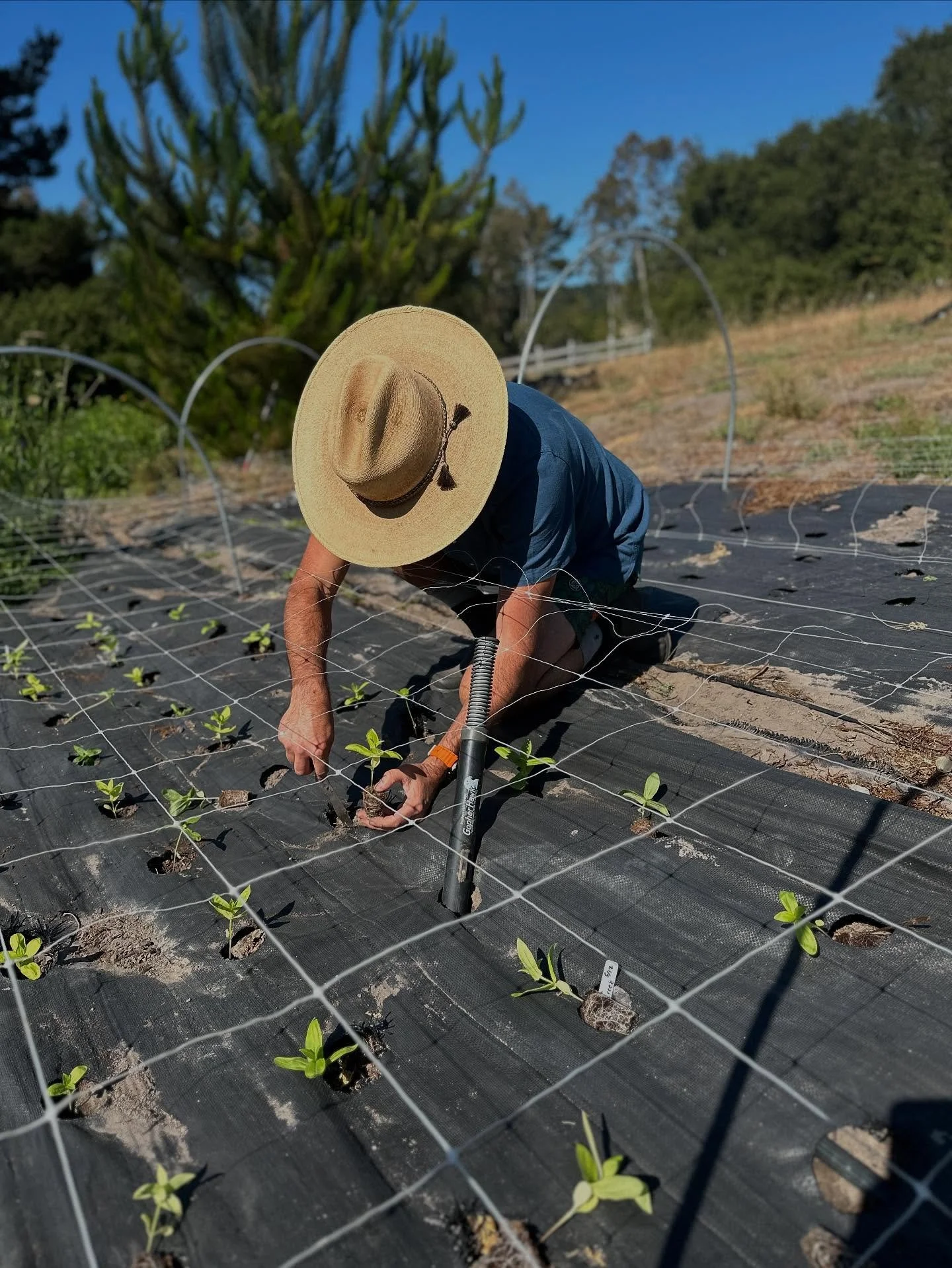 Happy Father&rsquo;s Day to our best papa!!! Always helping me to achieve my flower farm dream!!