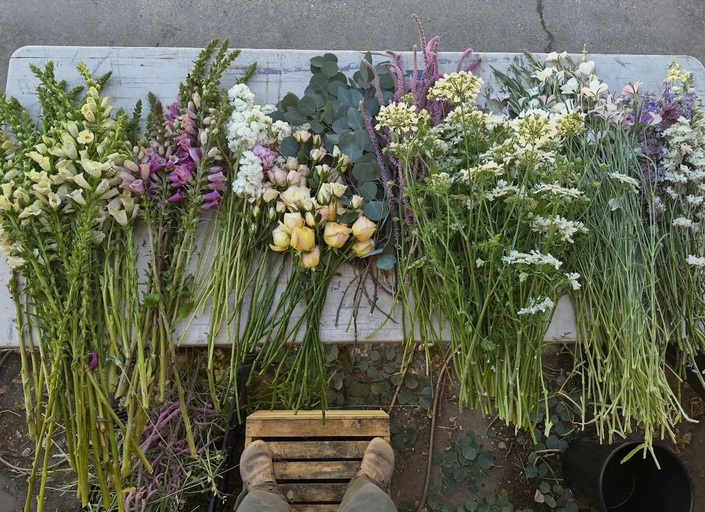 Happy Valentines Day! Flowers are already popping this year so got to make some bouquets already. And I&rsquo;m not mad one bit!