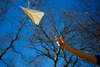 How to Explain Flight Science to Kids - Fun Aviation STEM Activities ...