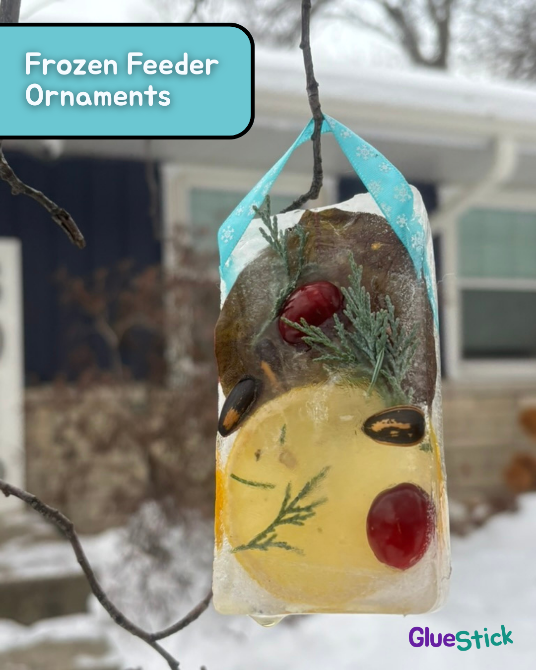 DIY Frozen Bird Feeder Ornaments for Kids (Easy Winter STEAM Project)