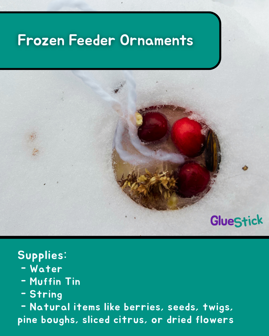 A frozen bird feeder ornament in the snow with the header "Frozen Feeder Ornaments" and the supply list for the project.